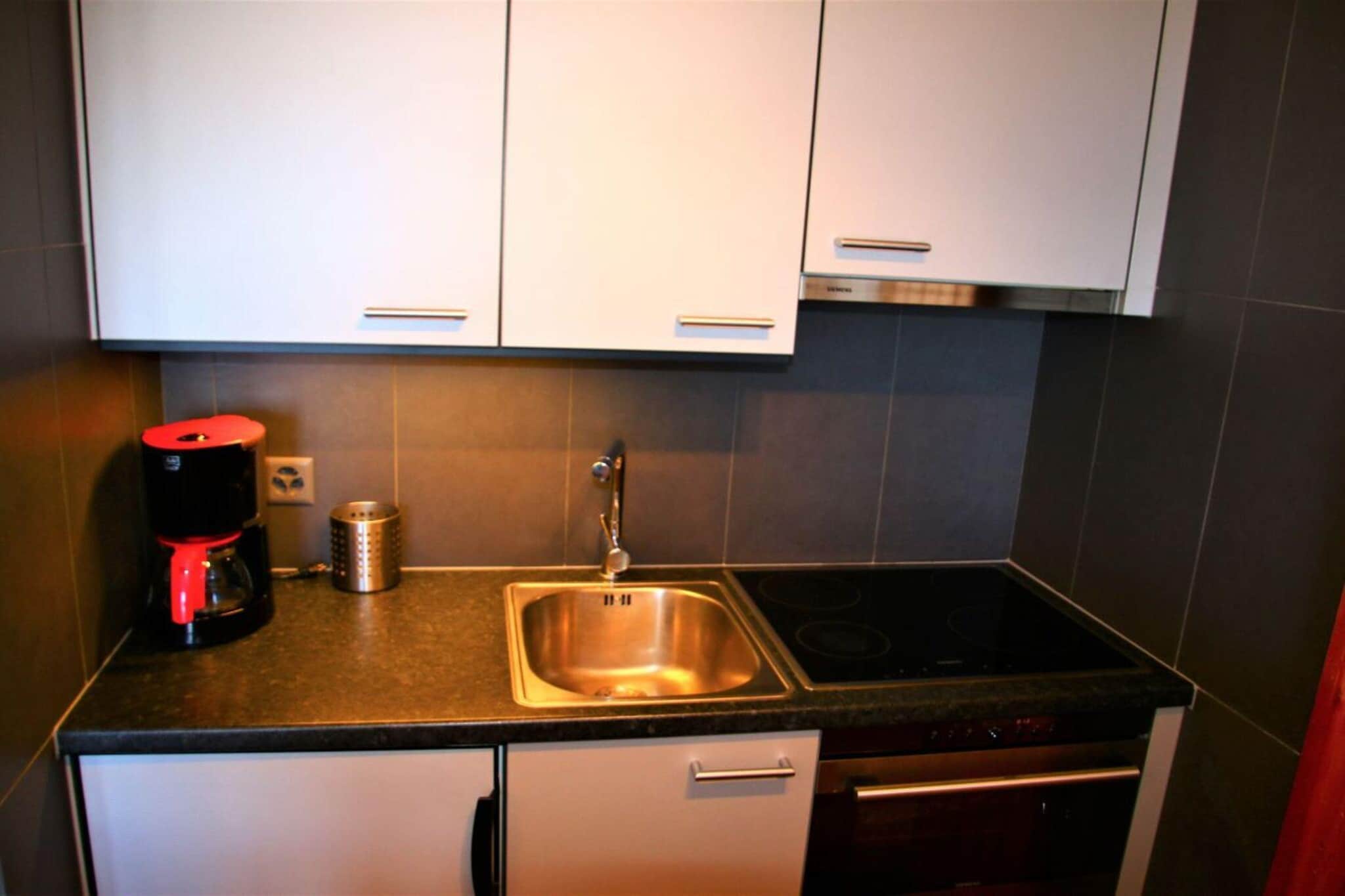 Greppons N 022 - MOUNTAIN studio 2 pers-Keuken