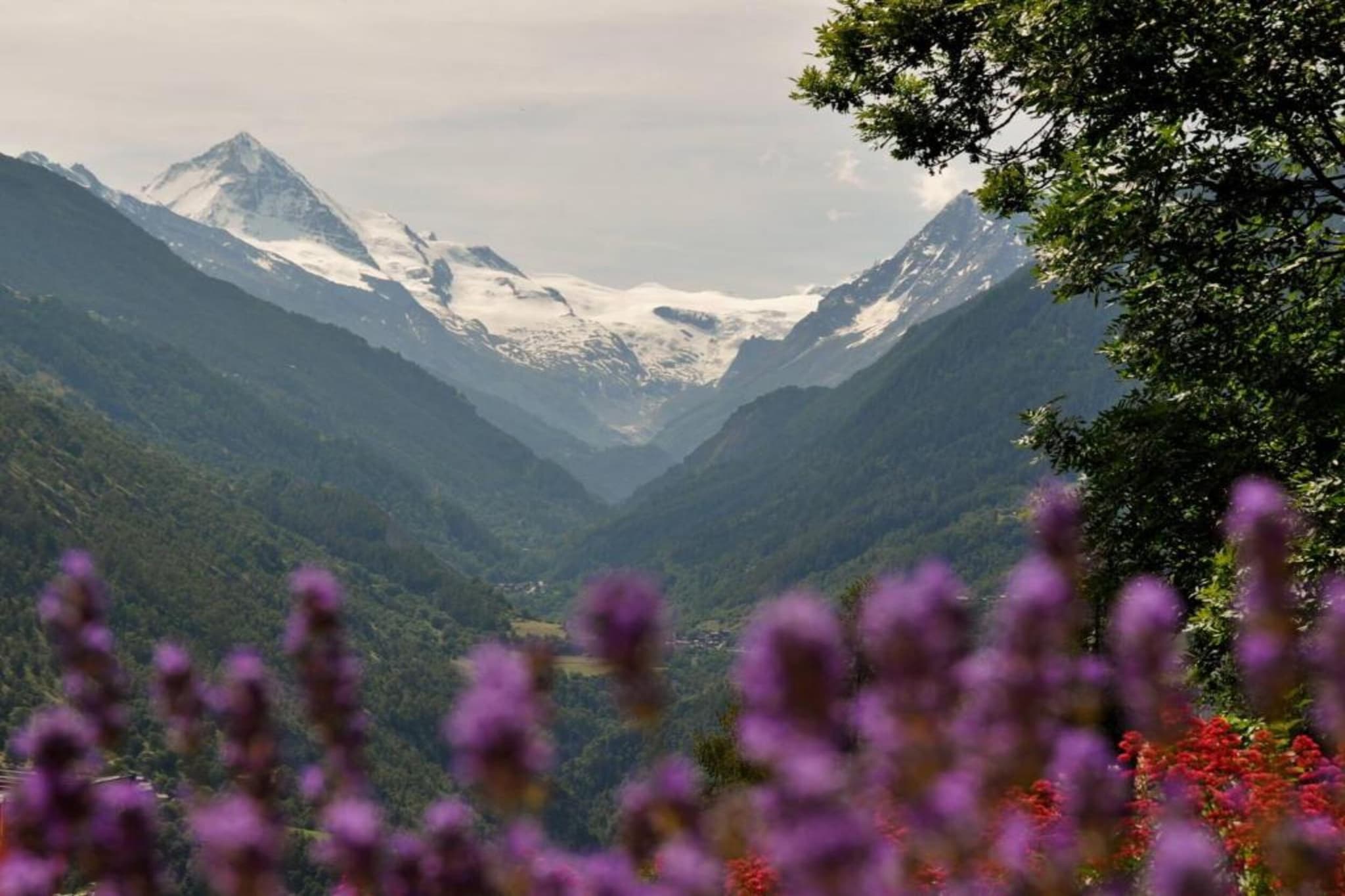 Mayens de l'Ours CZ 013 - MOUNTAIN apartment 8 per-Gebieden zomer 5km
