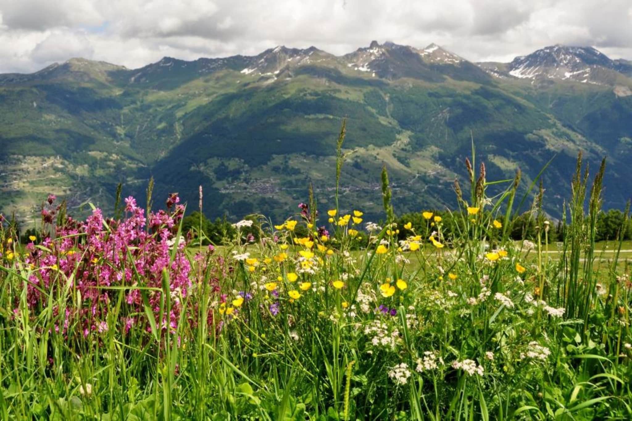 Mayens de l'Ours CZ 013 - MOUNTAIN apartment 8 per-Gebieden zomer 5km