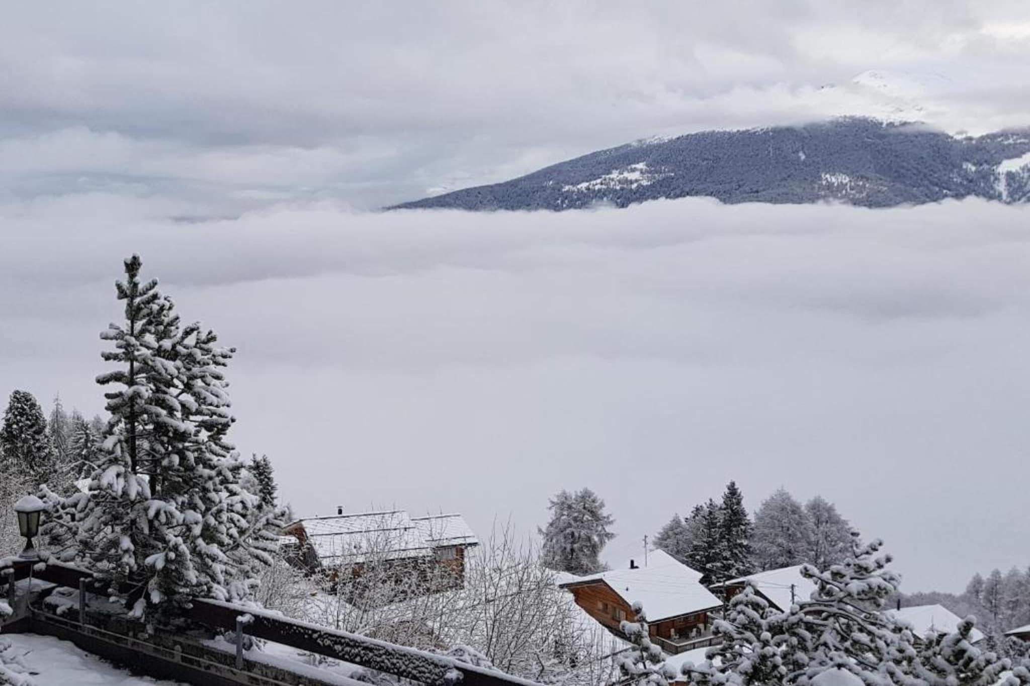 Mayens de l'Ours CZ 013 - MOUNTAIN apartment 8 per-Gebied winter 5km