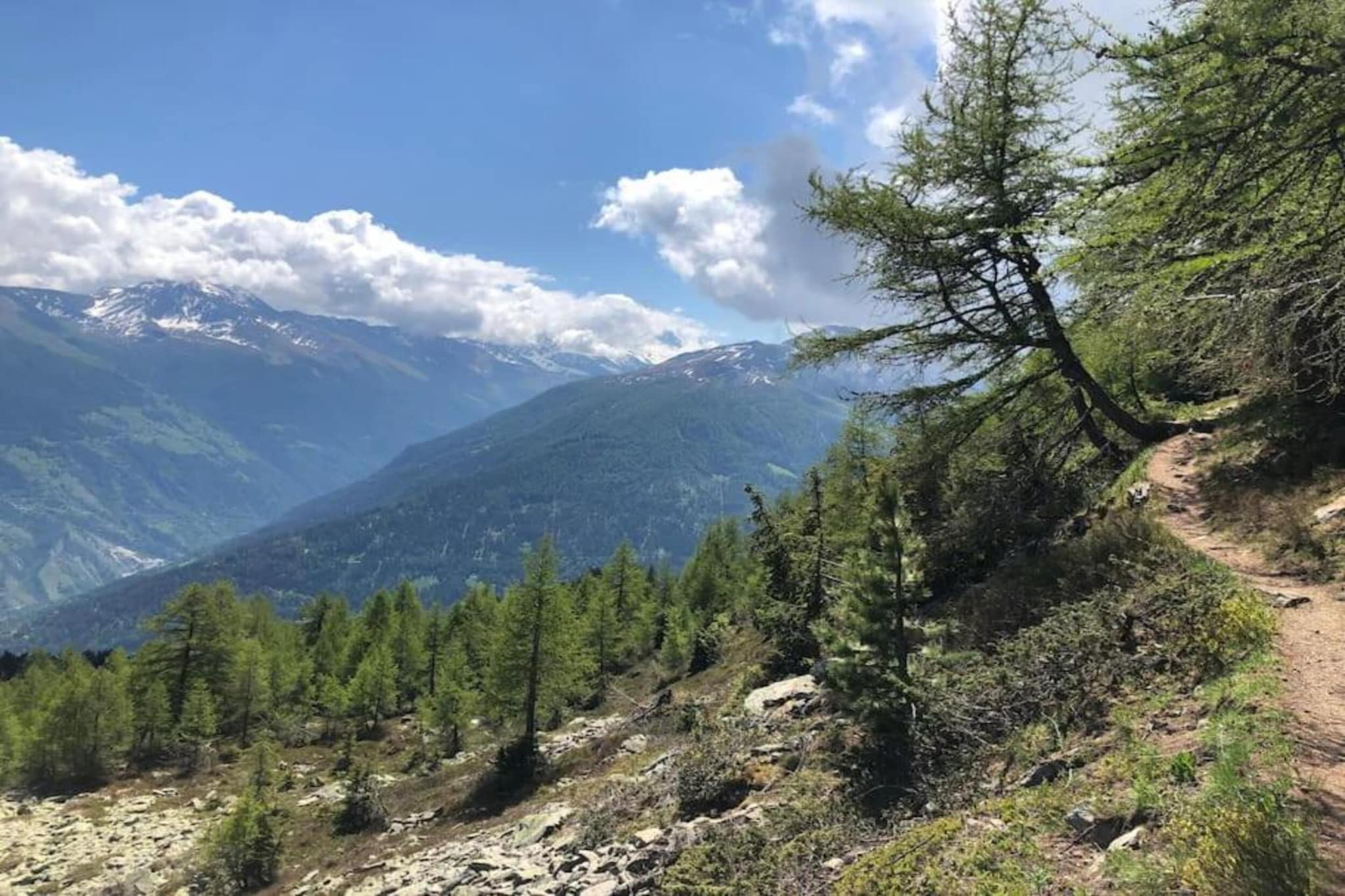 Mayens de l'Ours CZ 031 - MOUNTAIN apartment 6 per-Gebiete Sommer 5 km