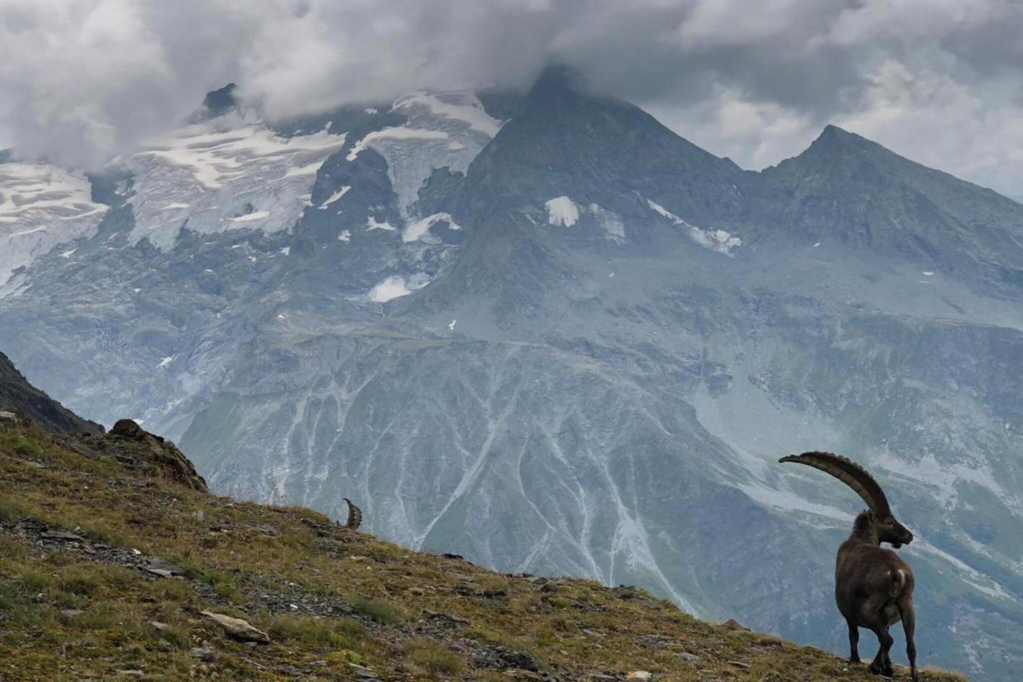 Chalet Etienne-Gebied winter 5km