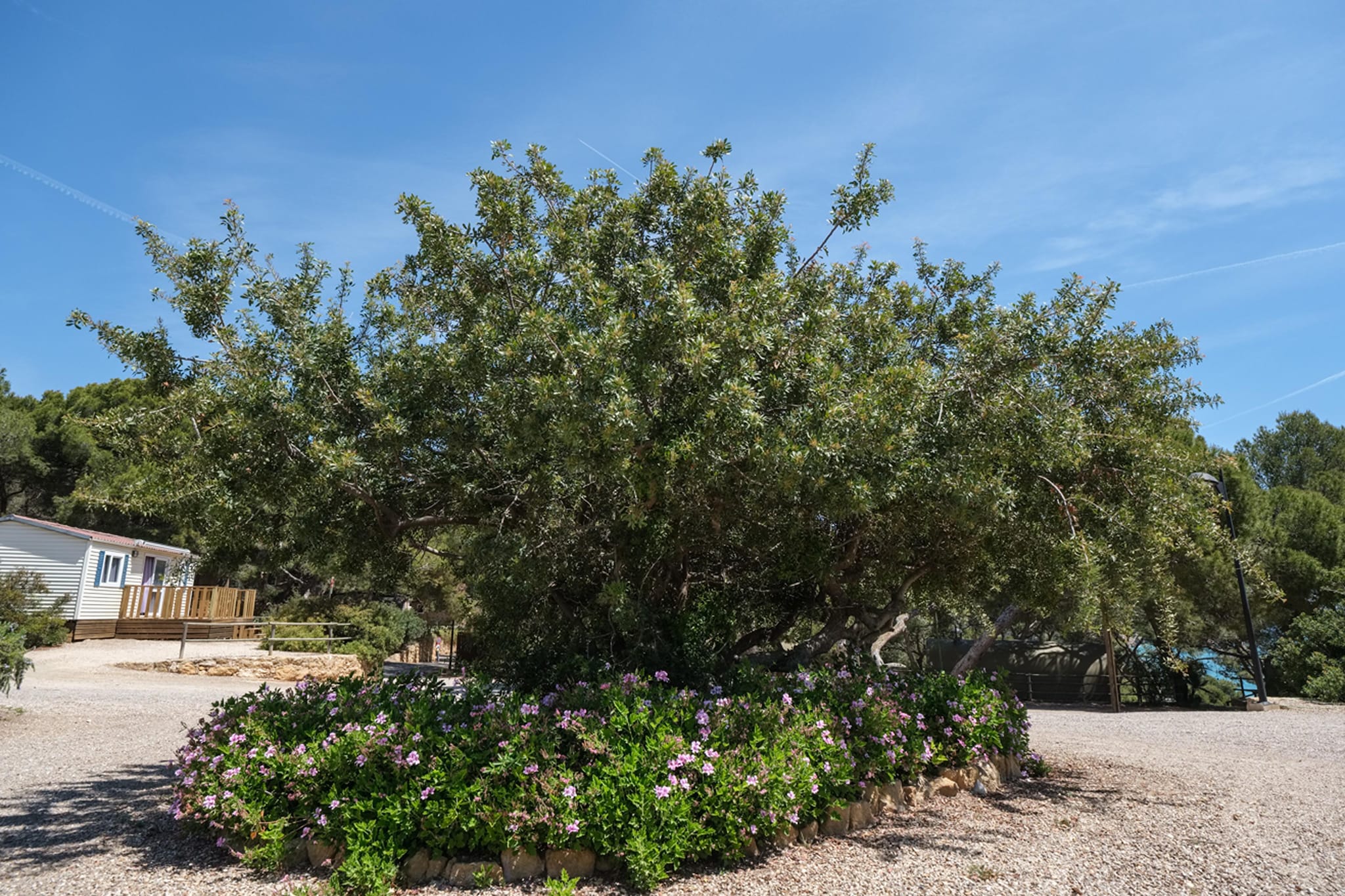 Ground floor: (Living room(single sofa bed, TV, dining table, balcony or terrace), open kitchen(hob, coffee machine, microwave, fridge-freezer), bedroom(double bed), bedroom(single bed, single bed), bathroom(shower, washbasin, toilet), Internet access, air conditioning)\n\nbar, receptions, parking, swimming pool(shared with other guests)