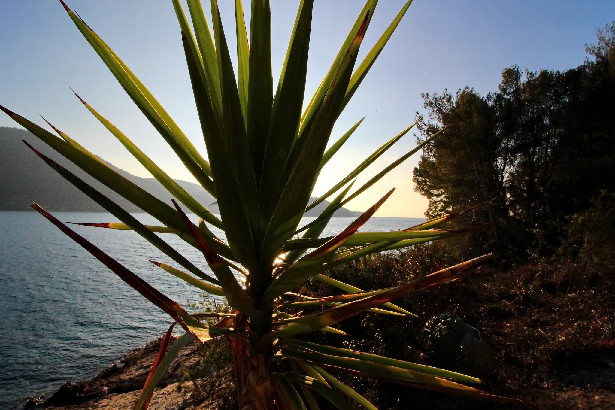 Holiday Home Bili Žal - Two Bedroom Holiday Home with Terrace and Sea View