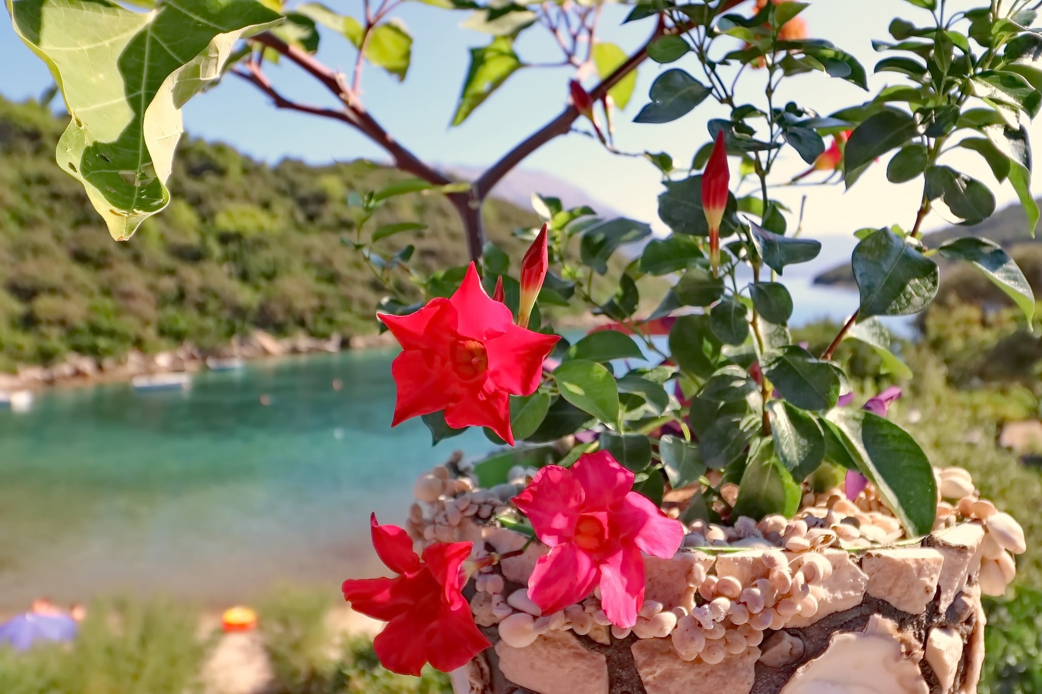 Apartments Villa Cebalo Korčula - Superior Three Bedroom Apartment with Terrace and Sea View  MARKO-Aussicht