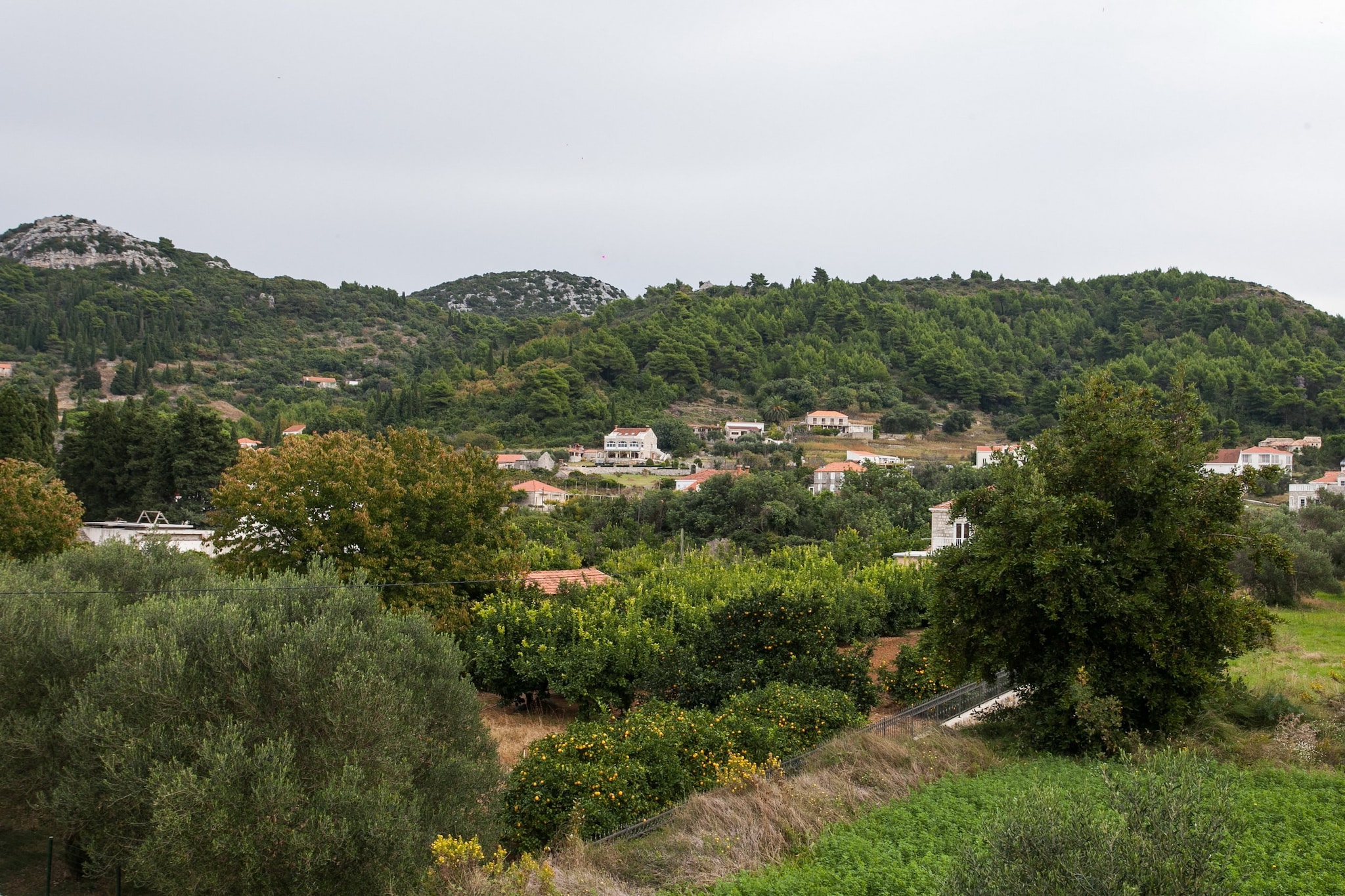 Apartments Ana Lopud - Double Room with Balcony and Sea View - (1 floor)-Aussicht