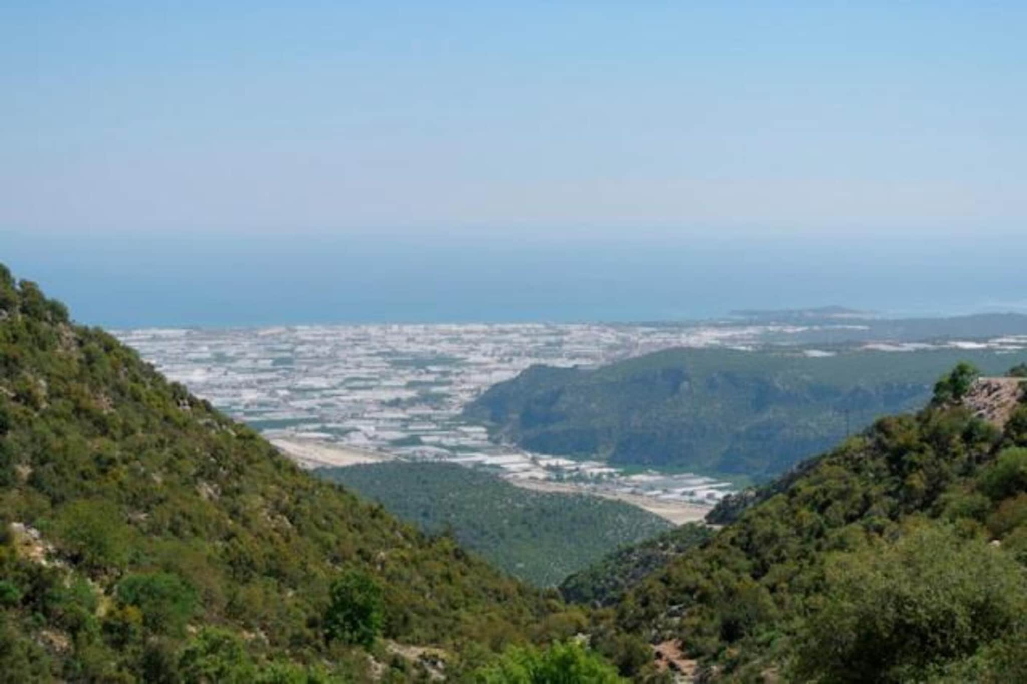 Al-Bayda-Zones d'été à 1 km