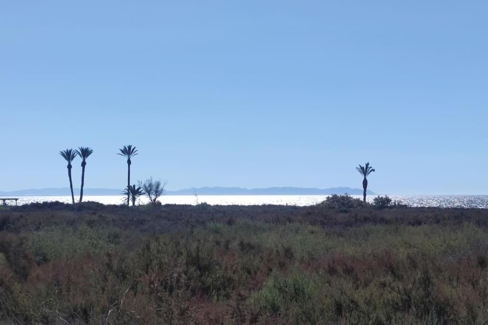 Al-Bayda-Zones d'été à 1 km