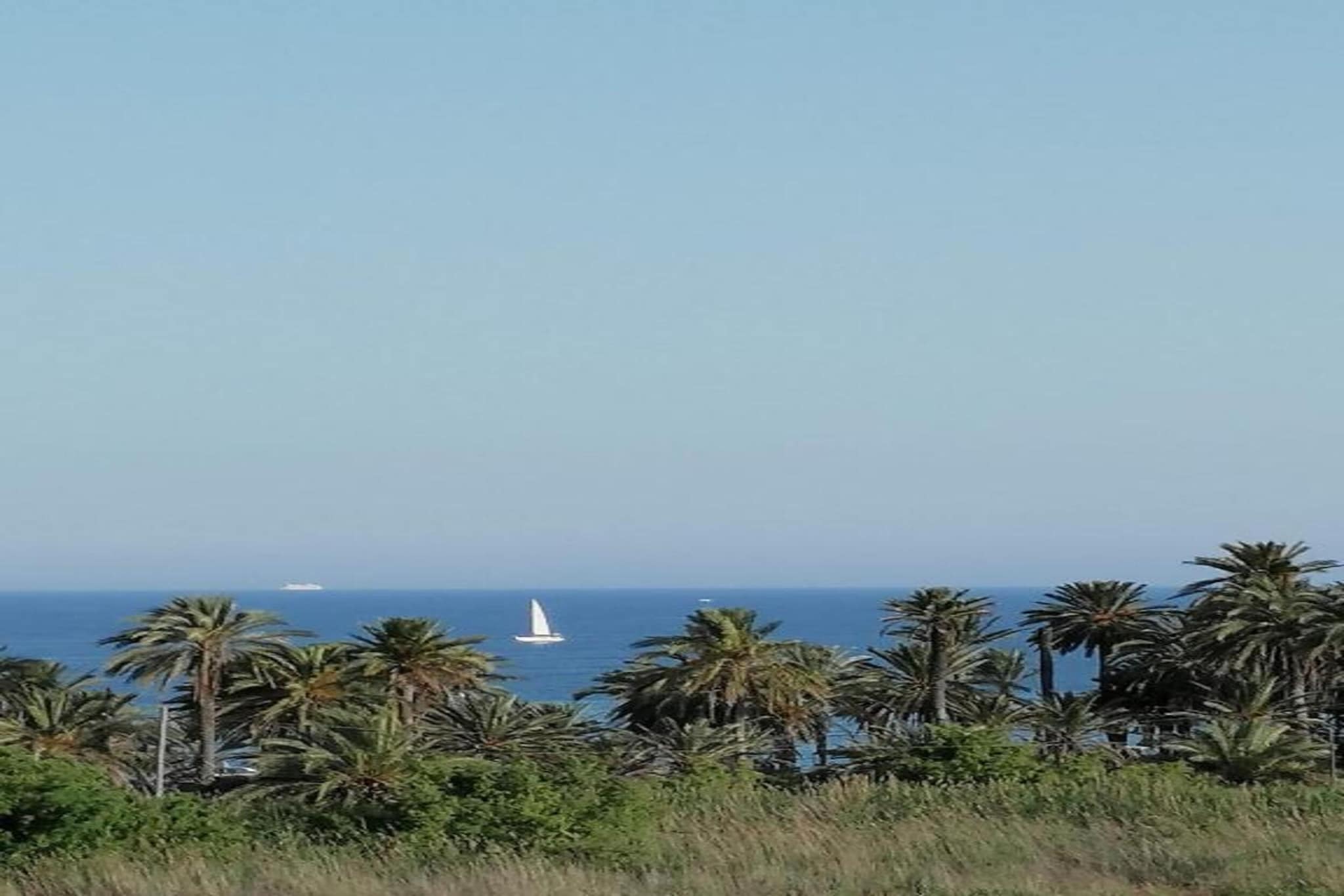 Al-Bayda-Zones d'été à 1 km