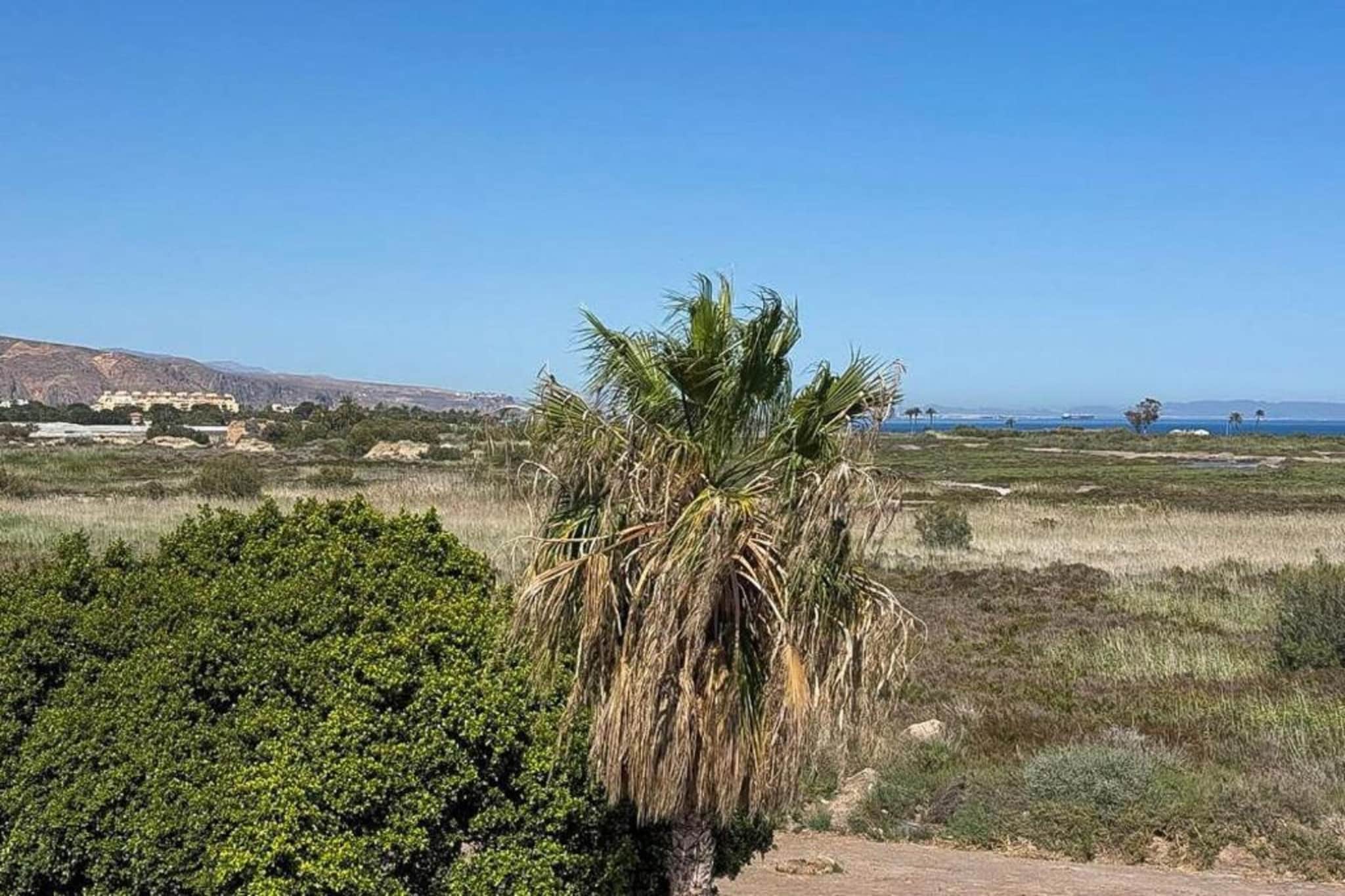 Al-Bayda-Zones d'été à 1 km