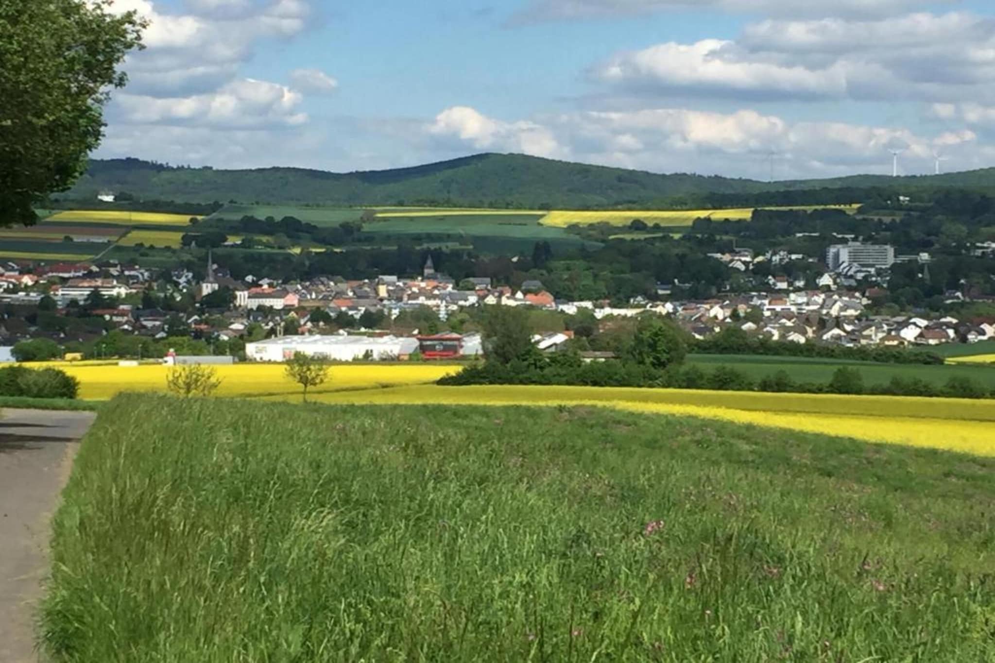 Suite im Taunus-Gebieden zomer 20km