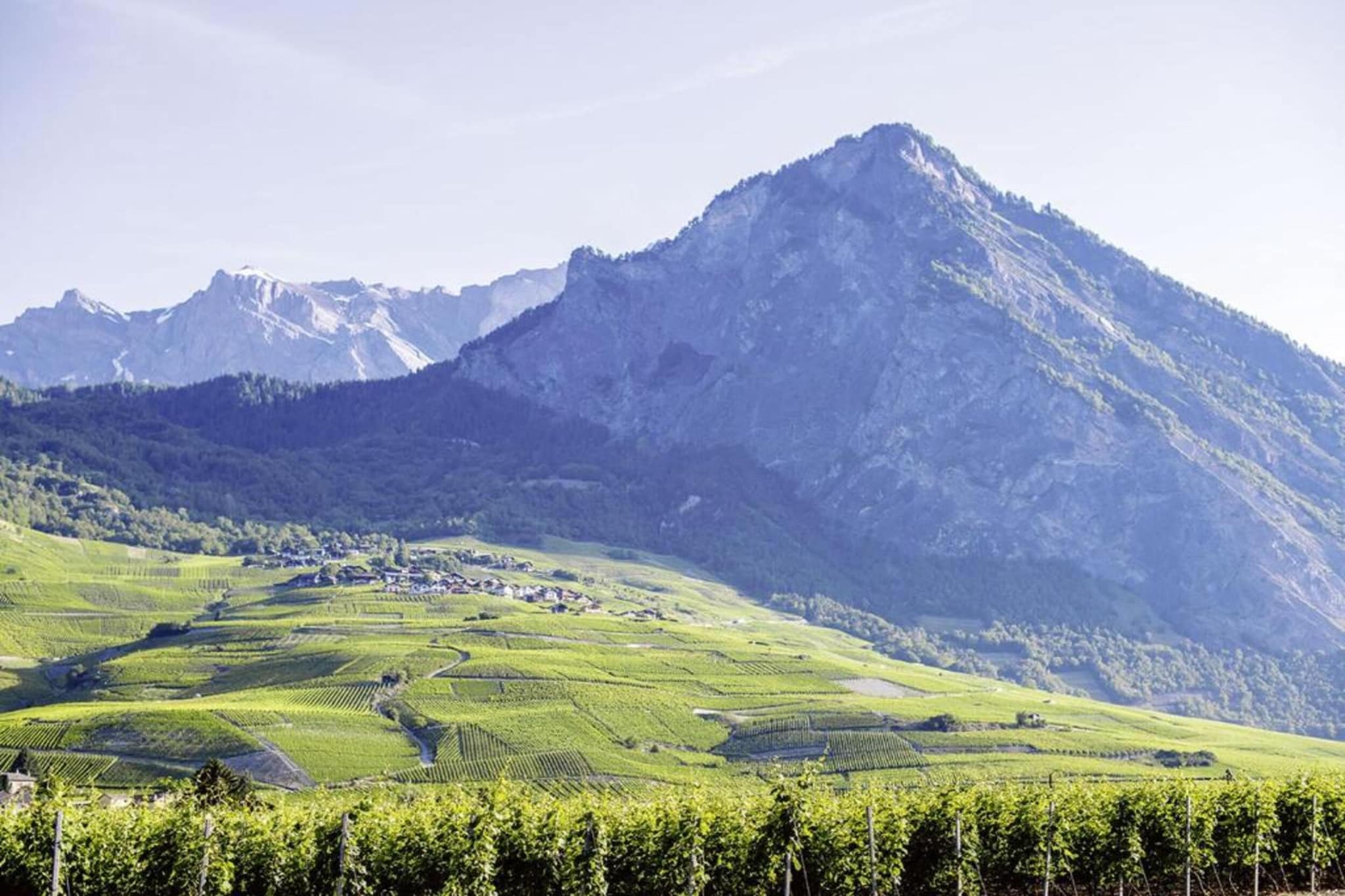 Pracondu 2 303 - OUTDOOR & FUN charming apartment-Gebiete Sommer 5 km