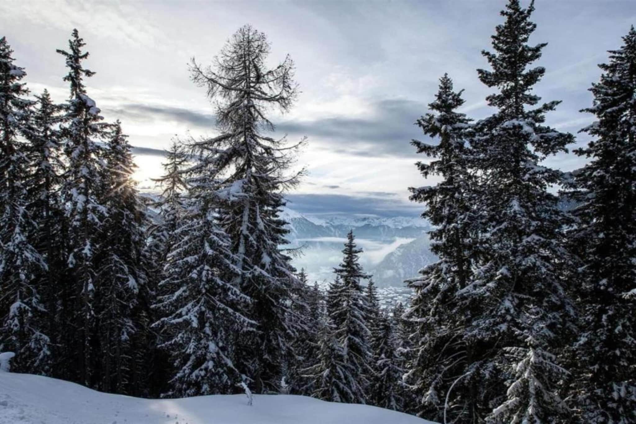 Pracondu 2 305 - OUTDOOR & FUN charming apart-Gebied winter 20km