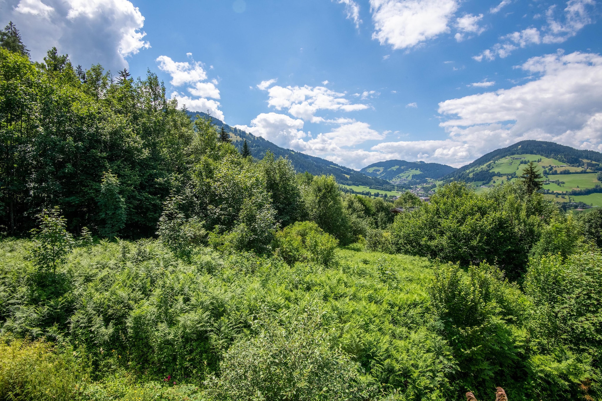 Mountain Retreat A - Uitzicht zomer