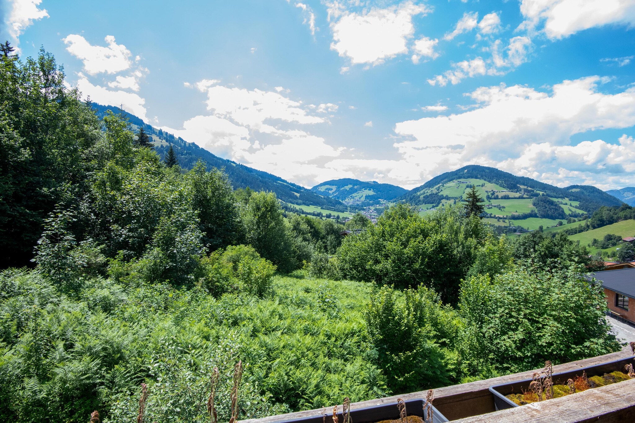 Mountain Retreat A - Uitzicht zomer