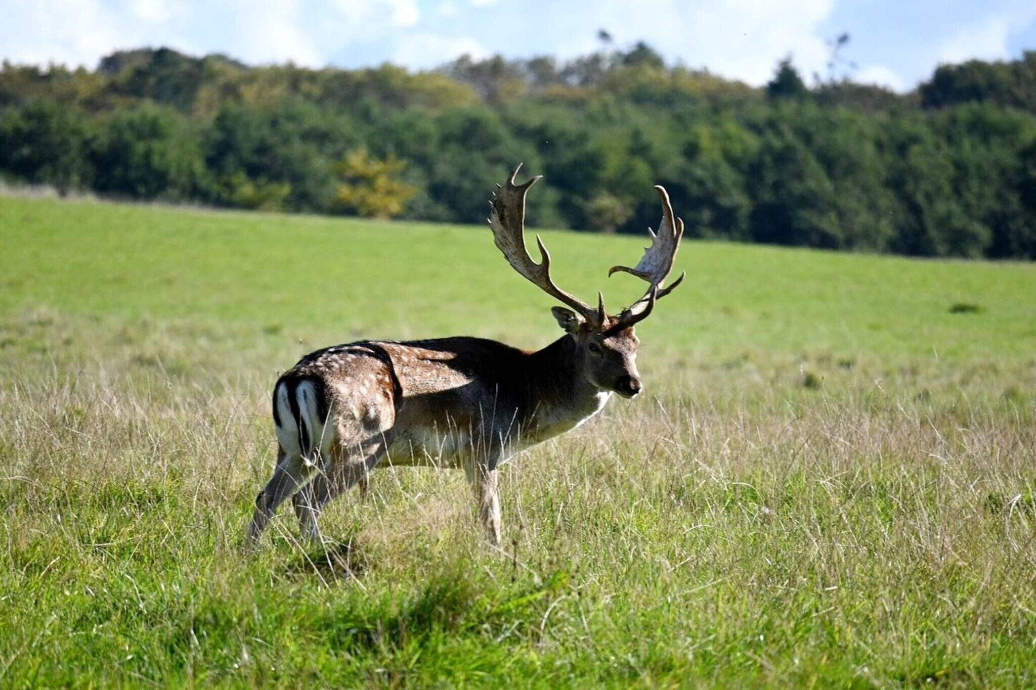 Maison de parc de vacances pour 6 a Middelfart-Non étiqueté