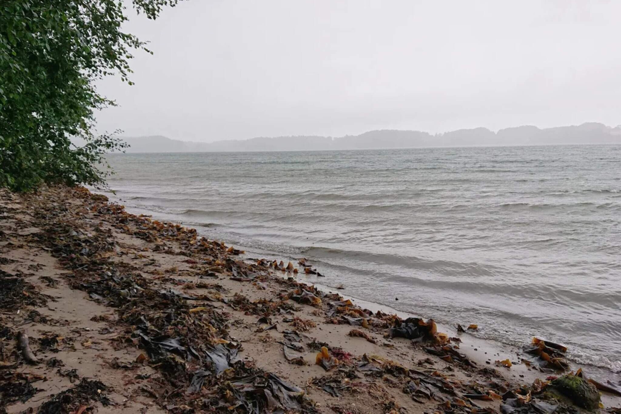 6 Personen Ferienpark haus in Middelfart-Wasserblick