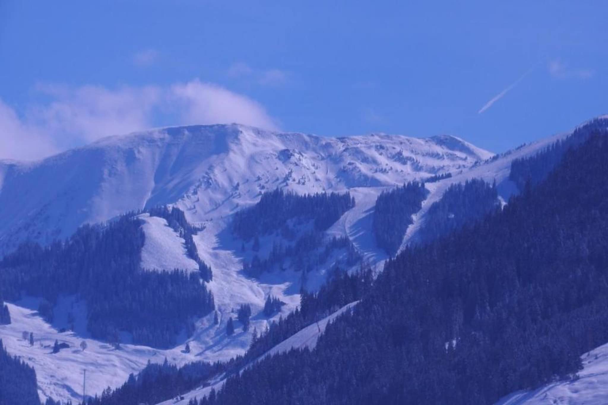 Appartement "Schnauz-Bartl" 1-2 Personen-Gebiet Winter 20 km