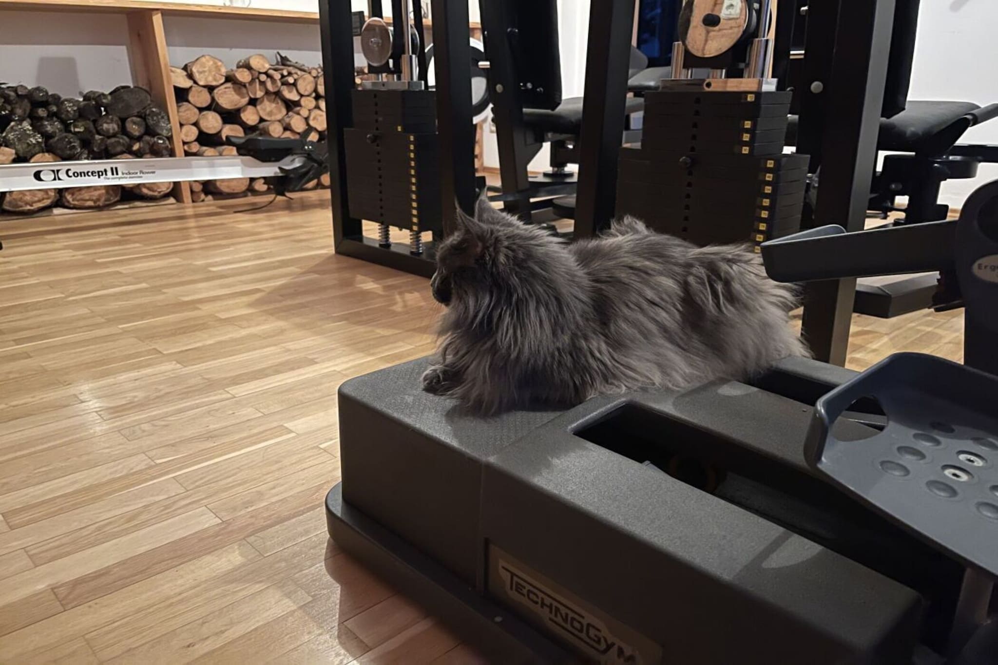 526877-Gym