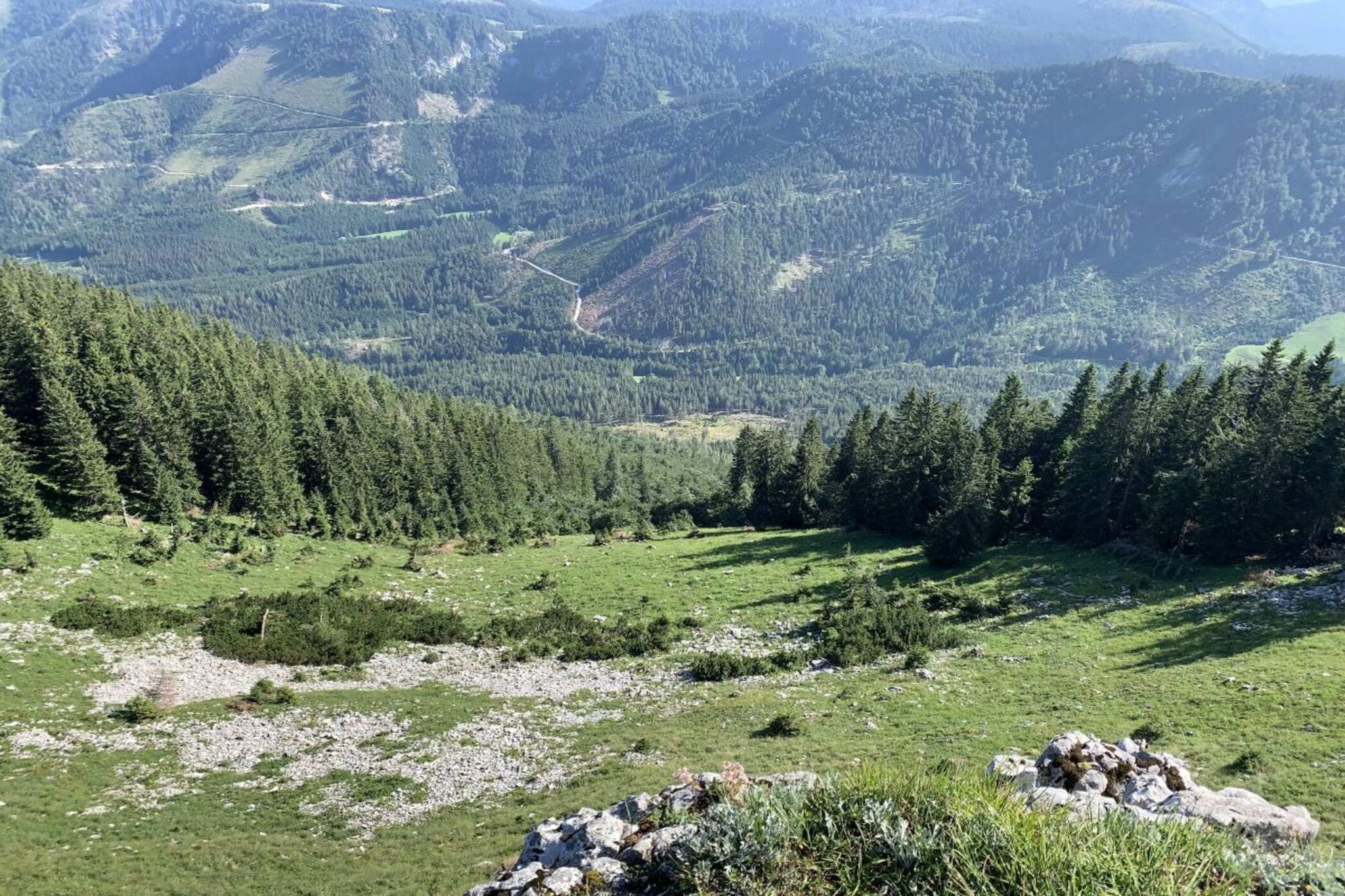 526877-Areas summer 5km