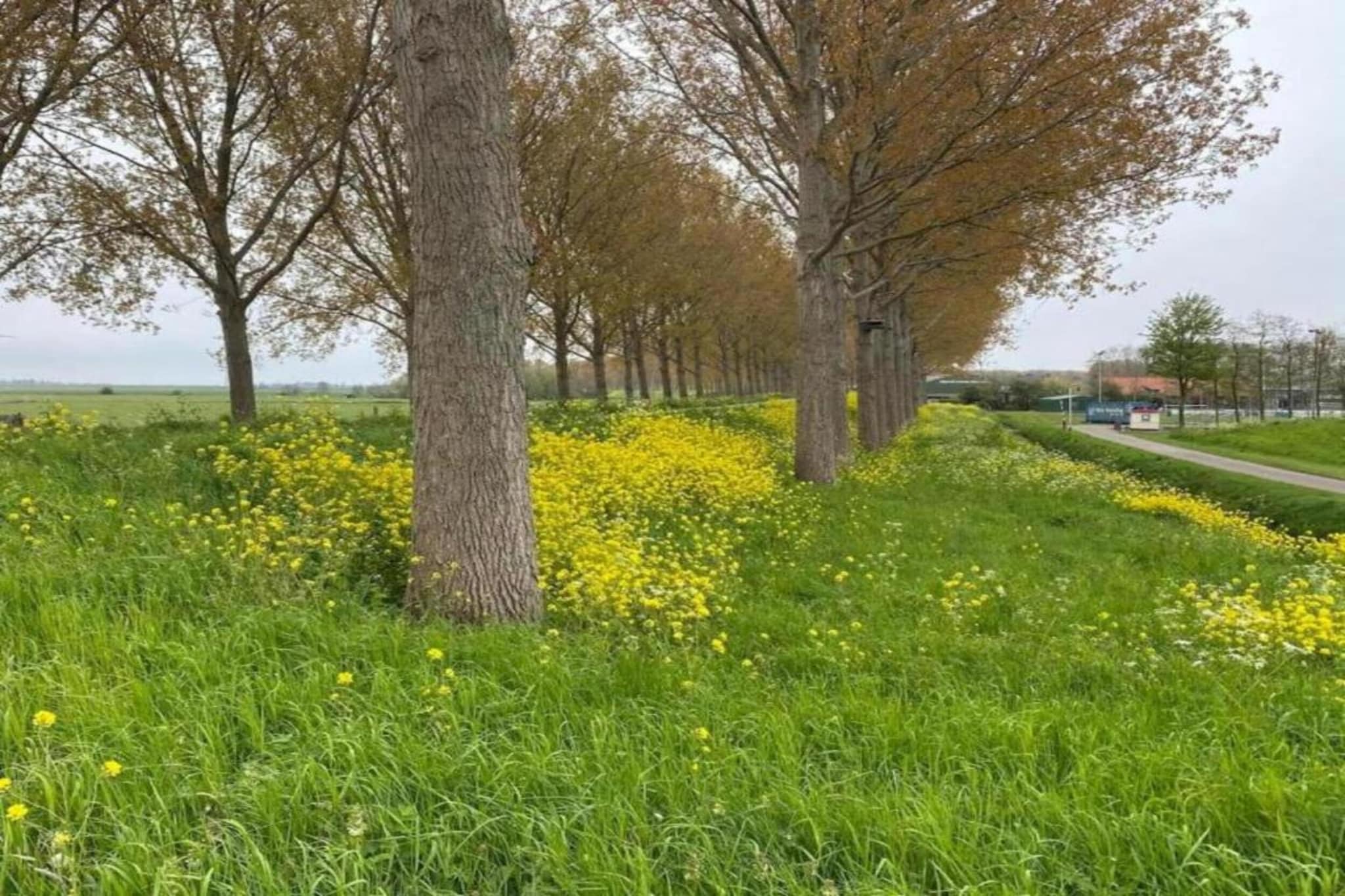 Standaard 337-Gebieden zomer 20km