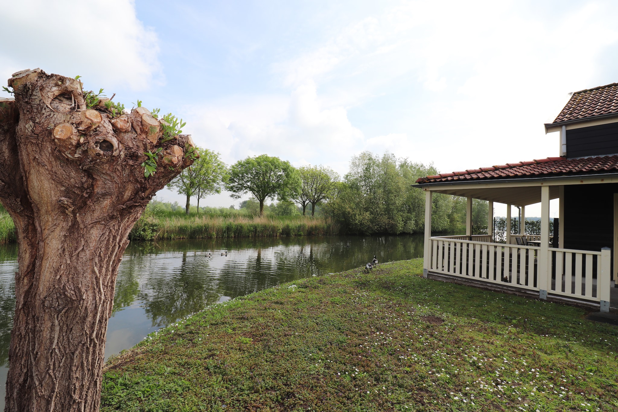 Standaard 337 - Garten Sommer