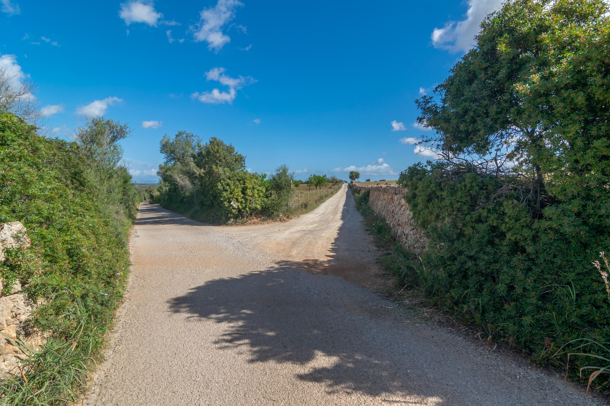 Son Gener (manacor)-Exterior summer