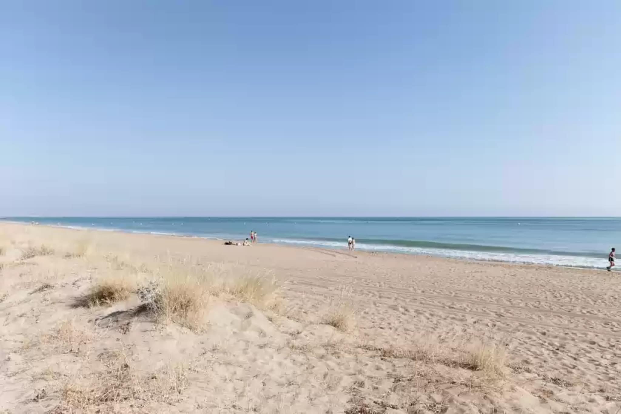 Camelot-Gebieden zomer 1km