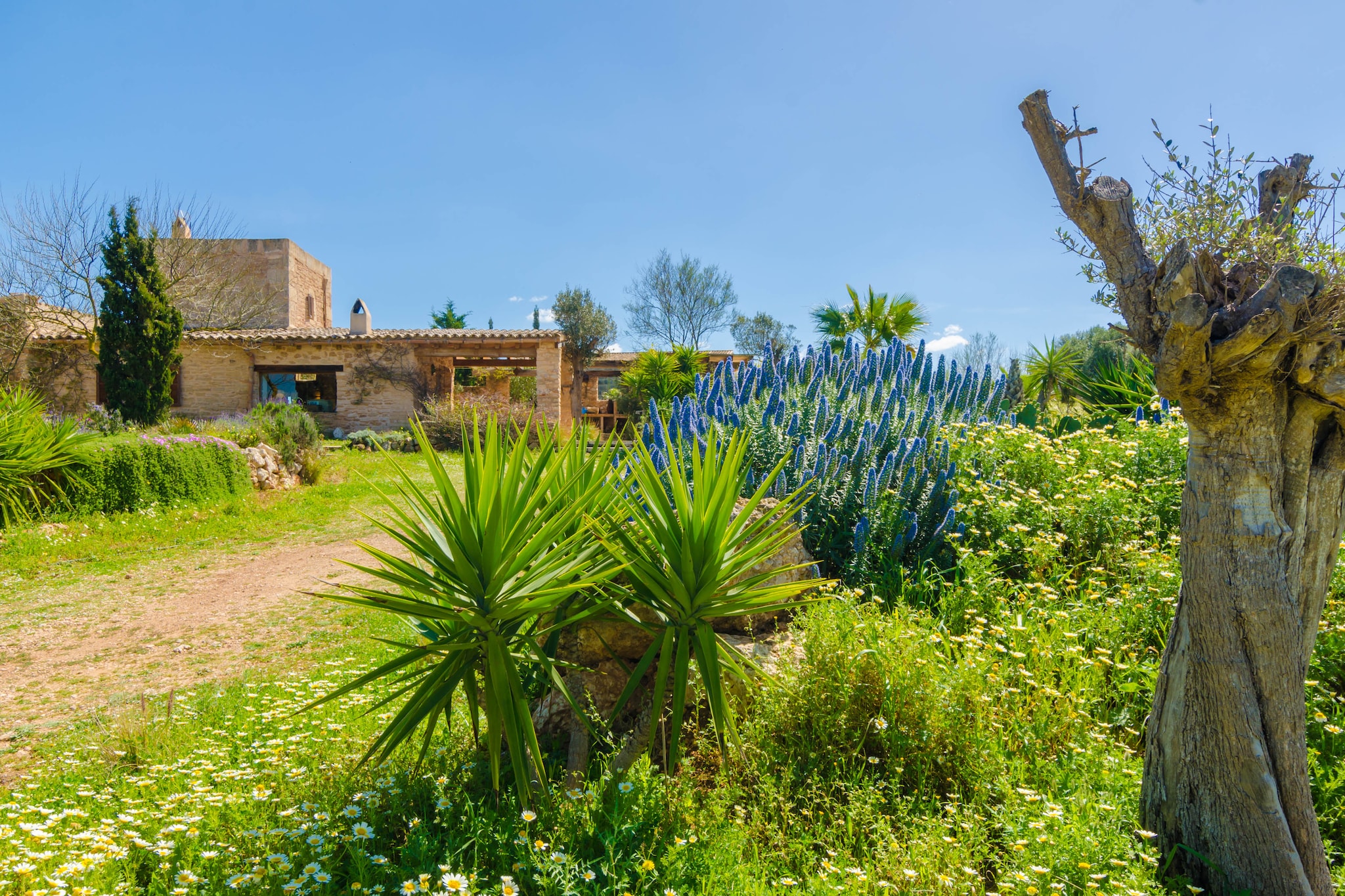 Villa Es MolÍ Des Trenc-Image-tags.