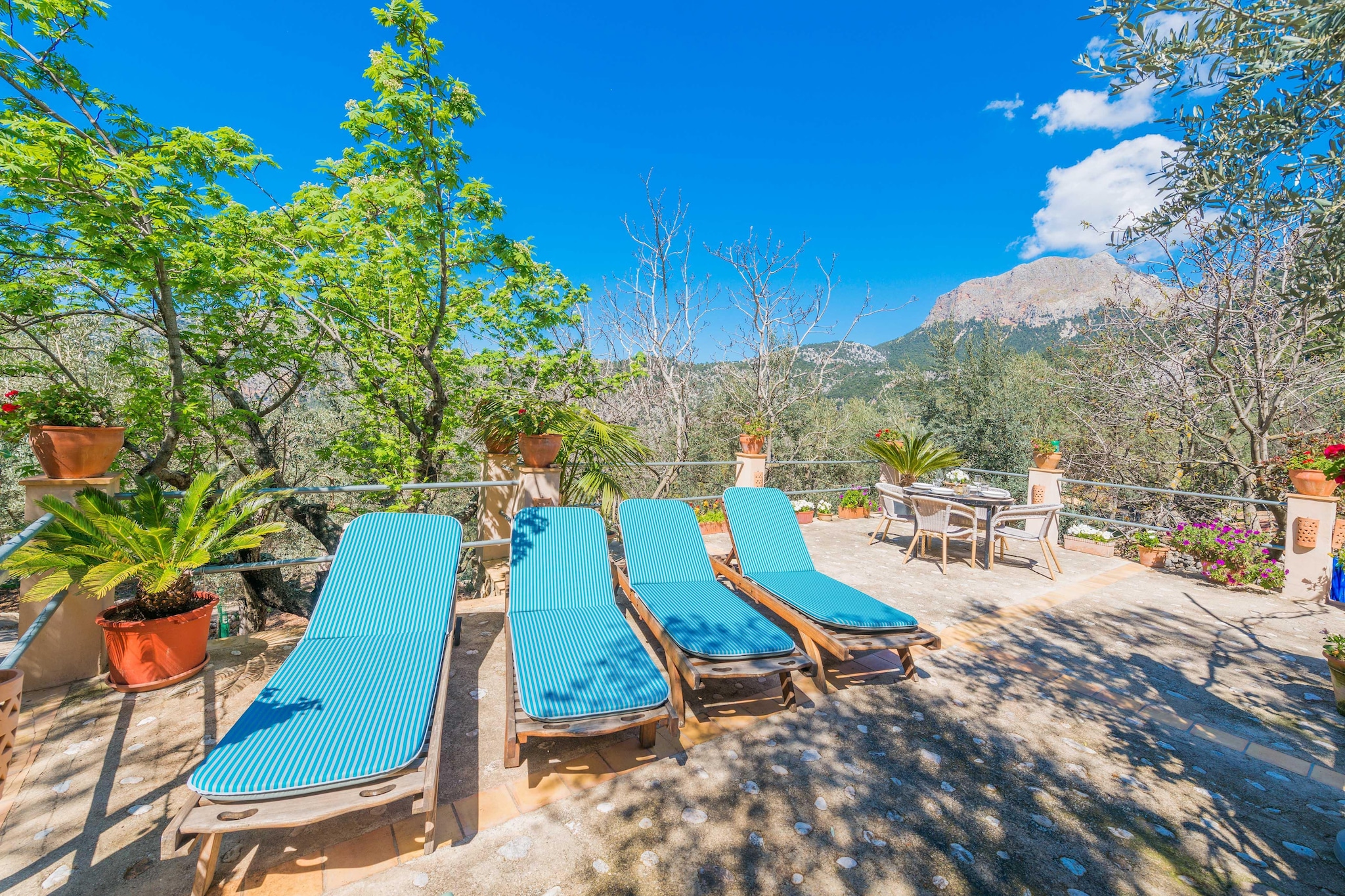 Can Mateu-Wellness