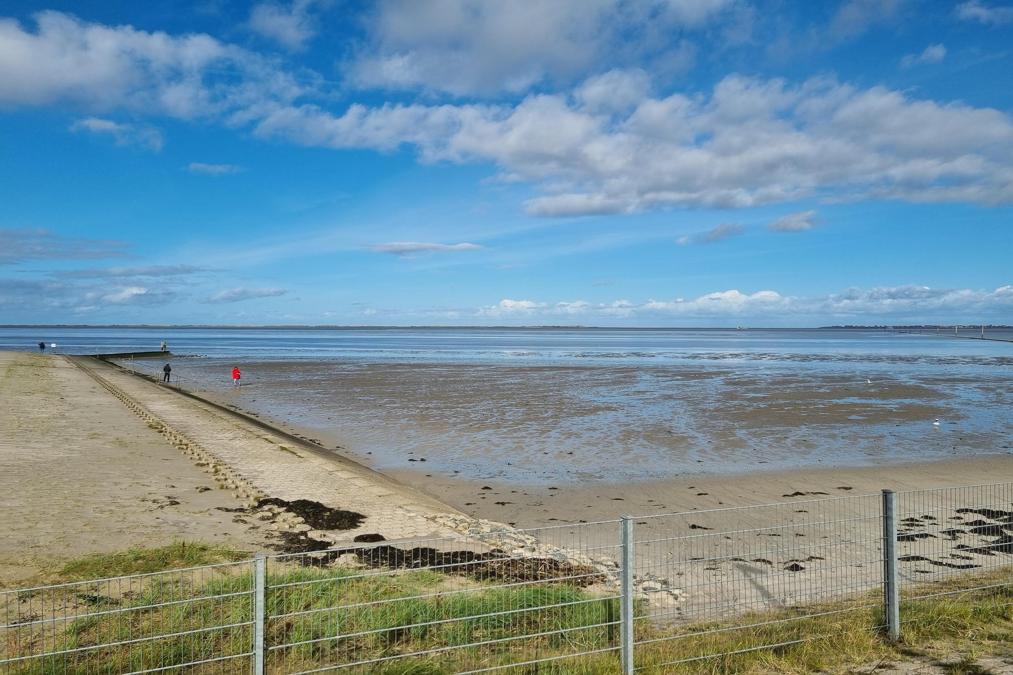 Ferienhaus 06 Marintje-Gebieden zomer 5km