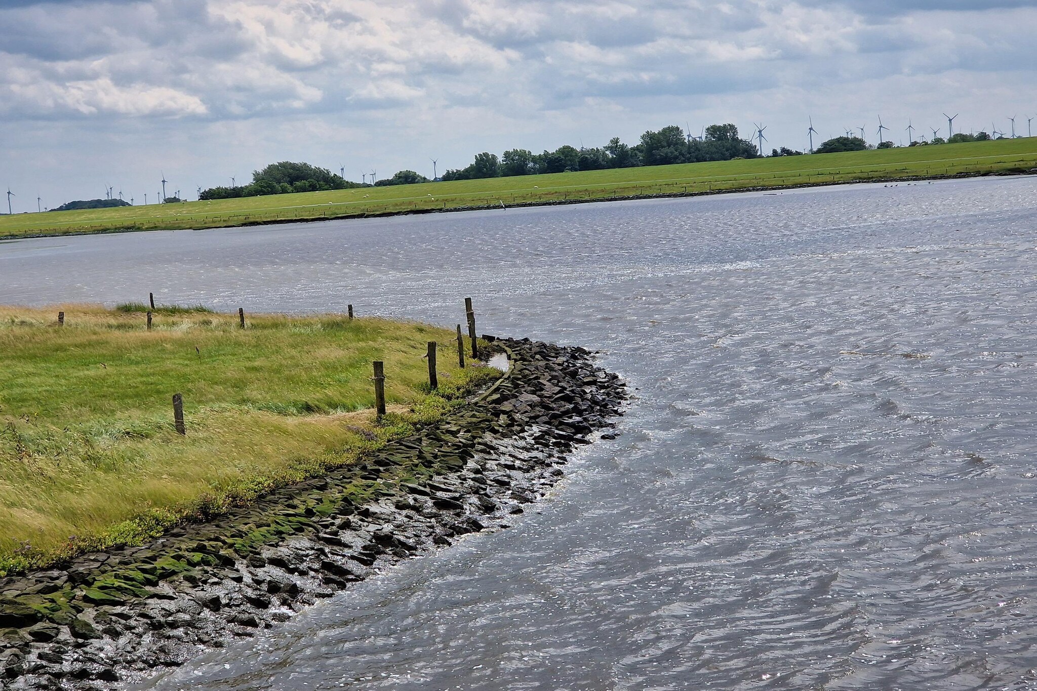 Ferienhaus 06 Marintje-Gebieden zomer 5km