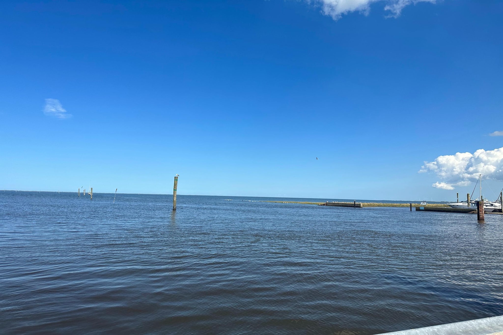 Doppelhaushälfte Wattwurm 34-Gebieden zomer 5km