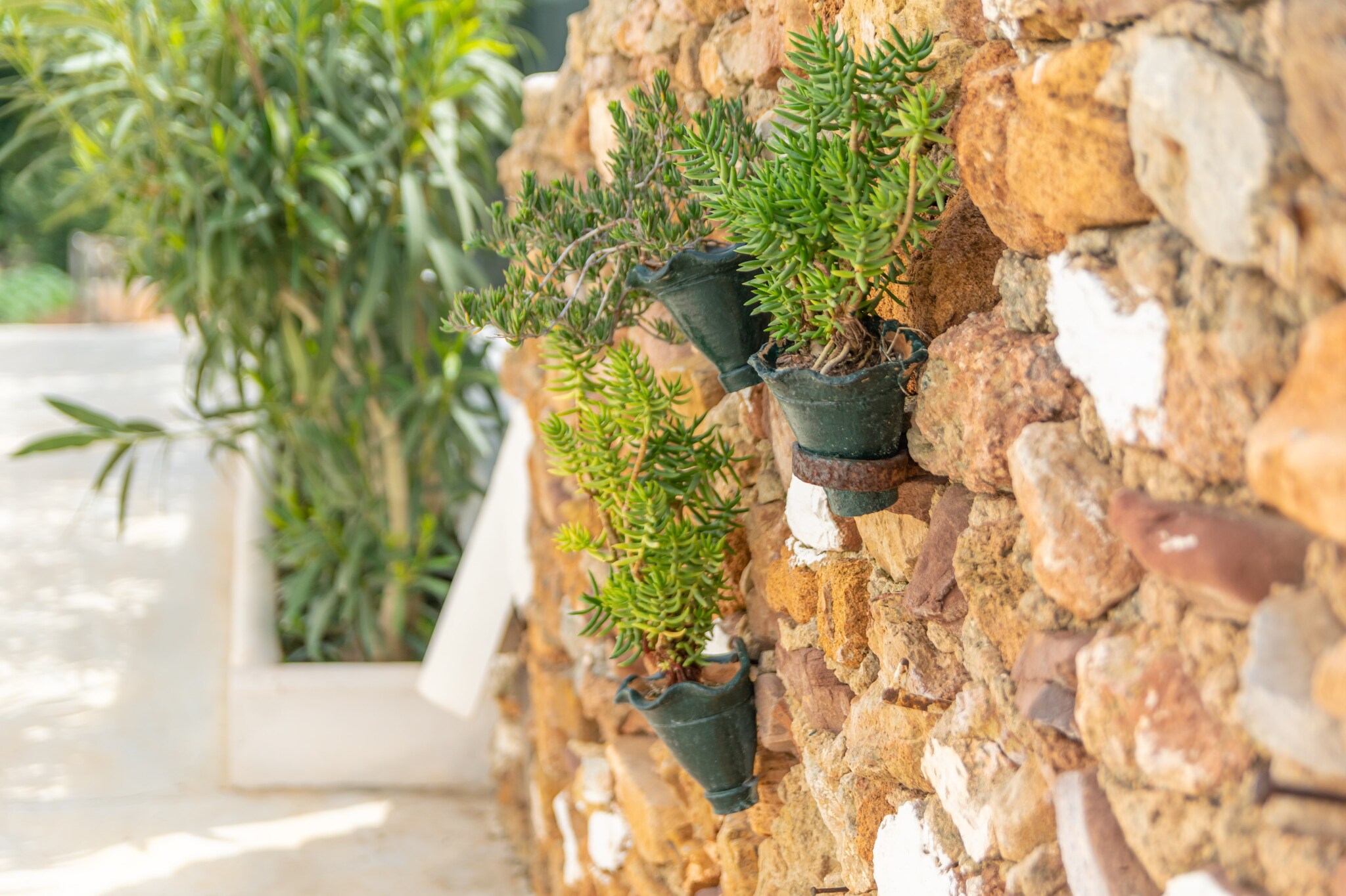 Casa Dina-Image-tags.