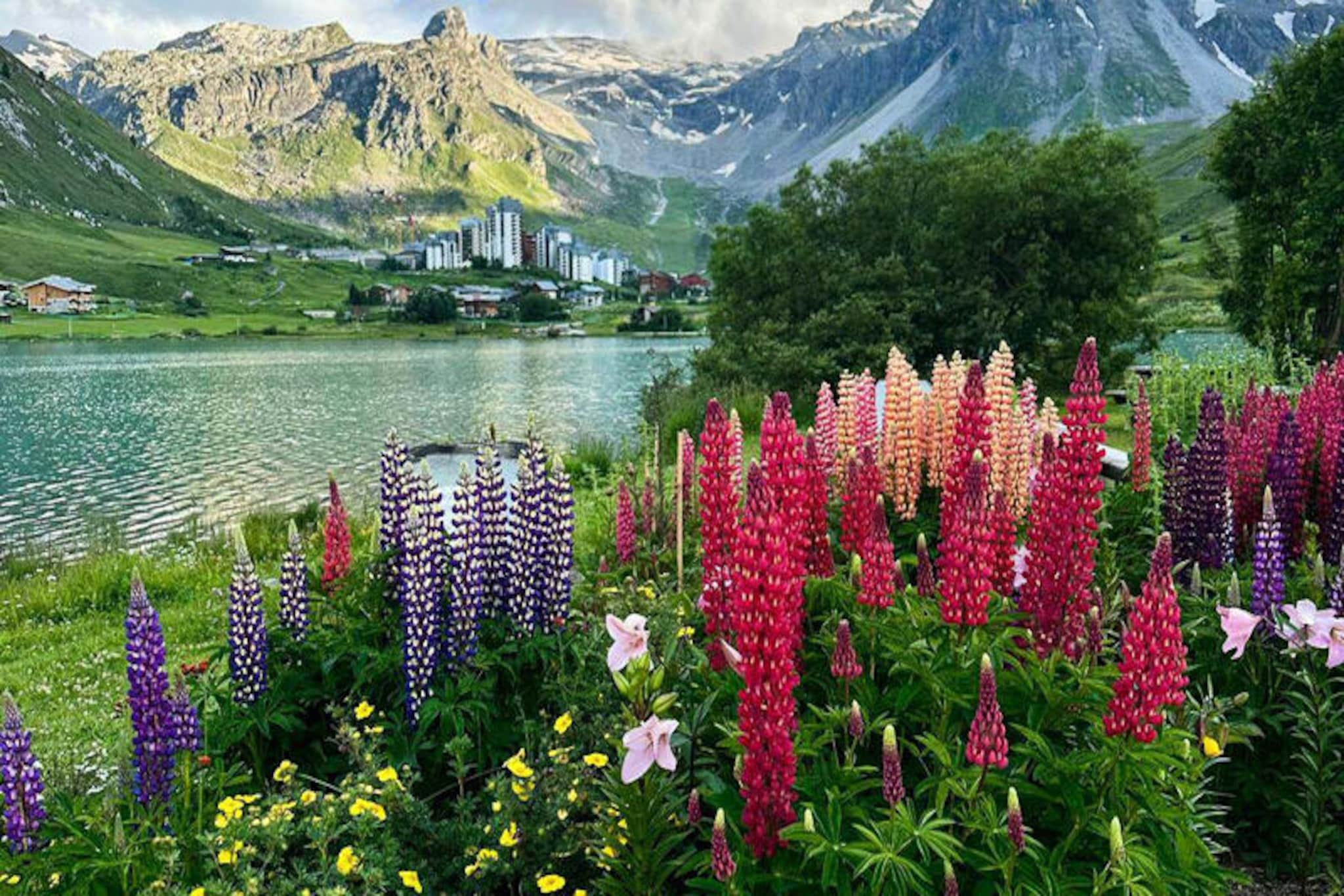 Location de Vacances Tignes - val claret 194-Image-tags.