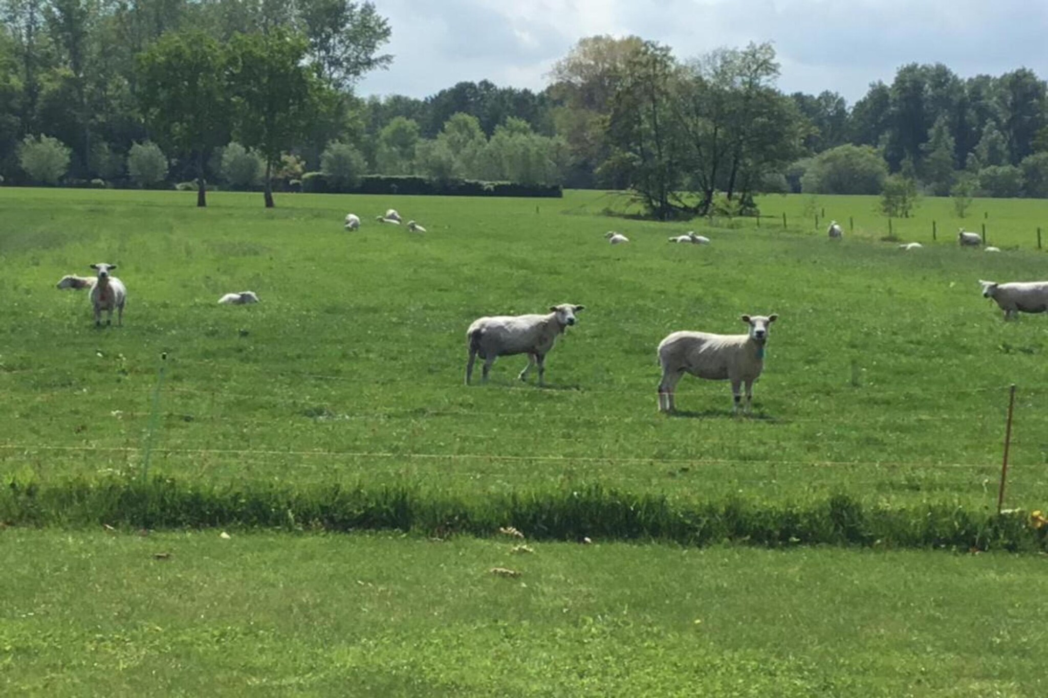 De oude stal-Gebieden zomer 20km