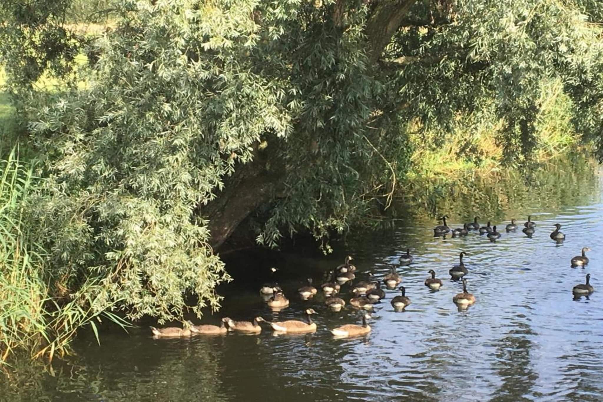 De oude stal-Gebieden zomer 20km