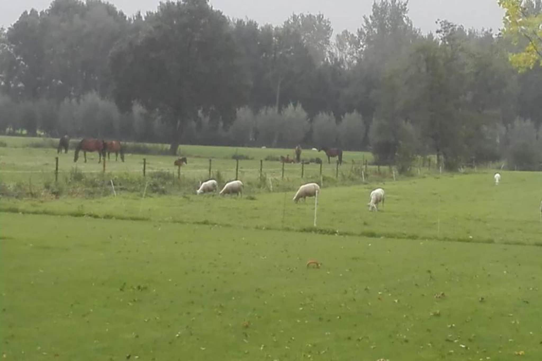 De oude stal-Gebieden zomer 20km