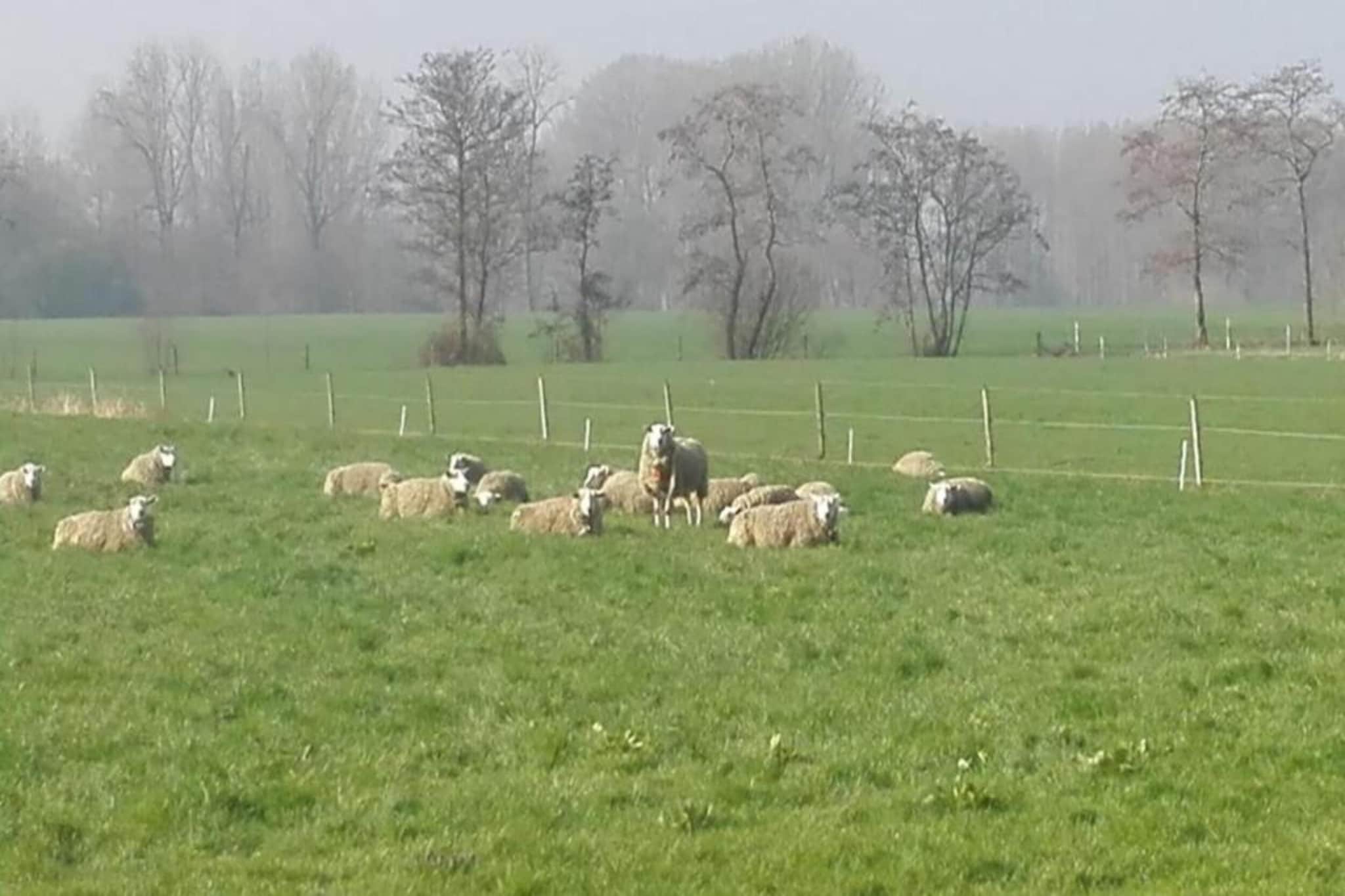 De oude stal-Gebieden zomer 20km