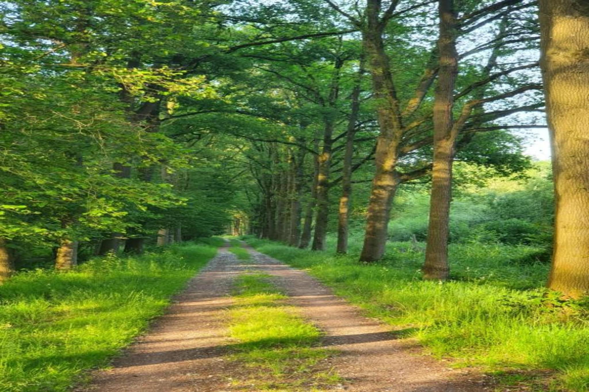De oude stal-Gebieden zomer 20km