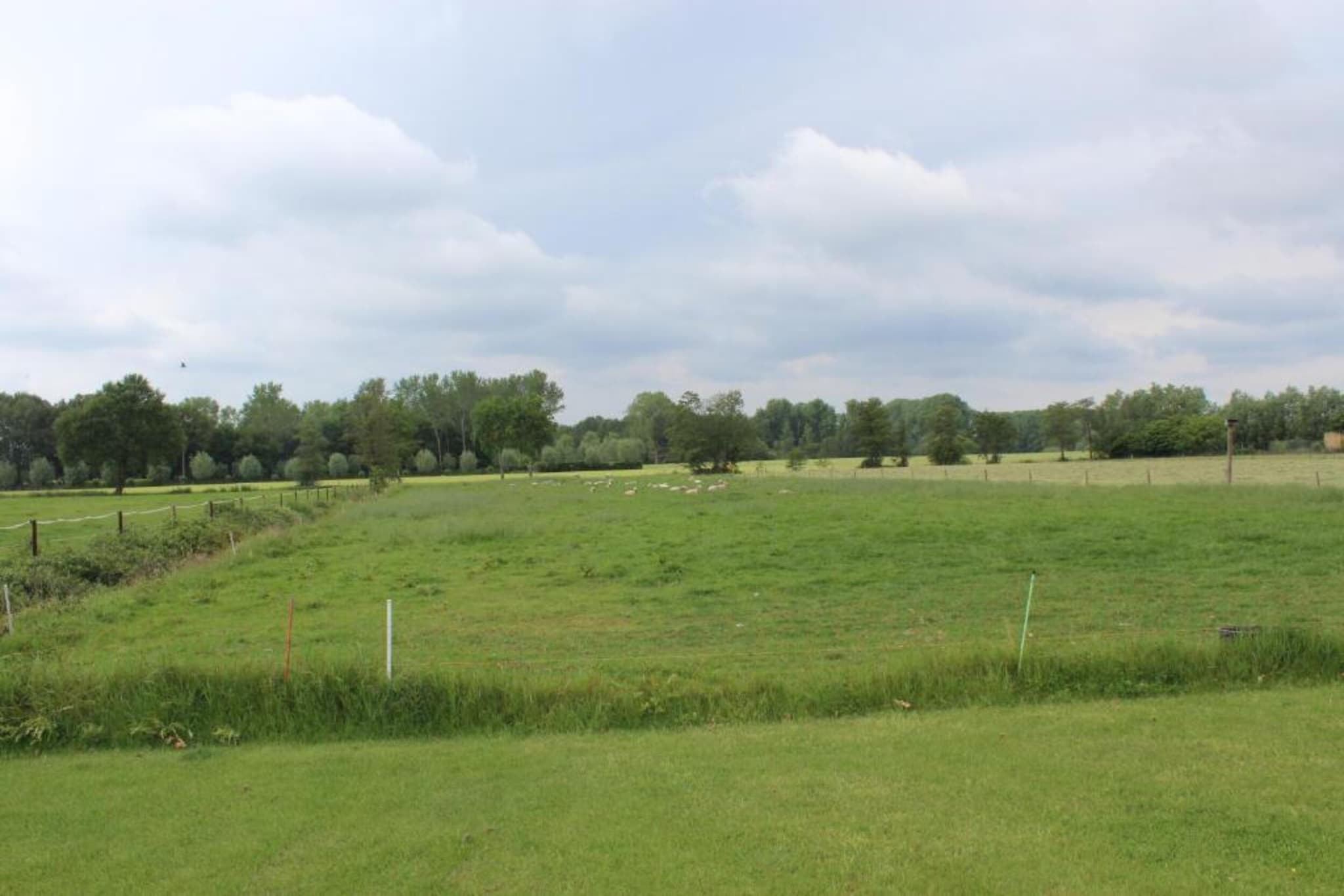 De Shetlander-Areas summer 20km