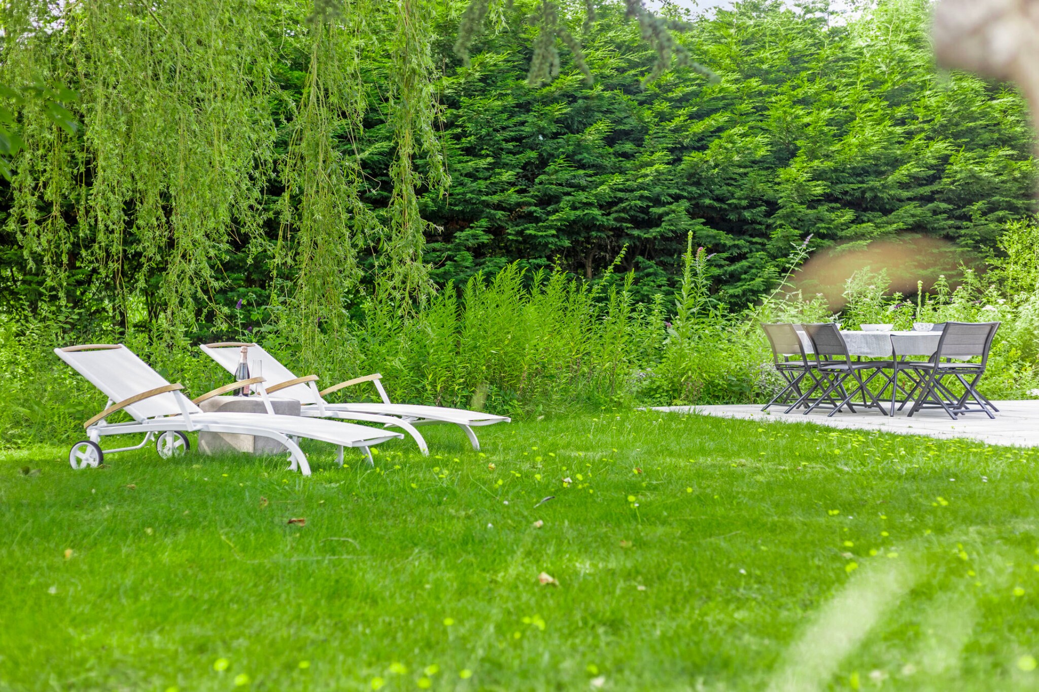 Garden Summer