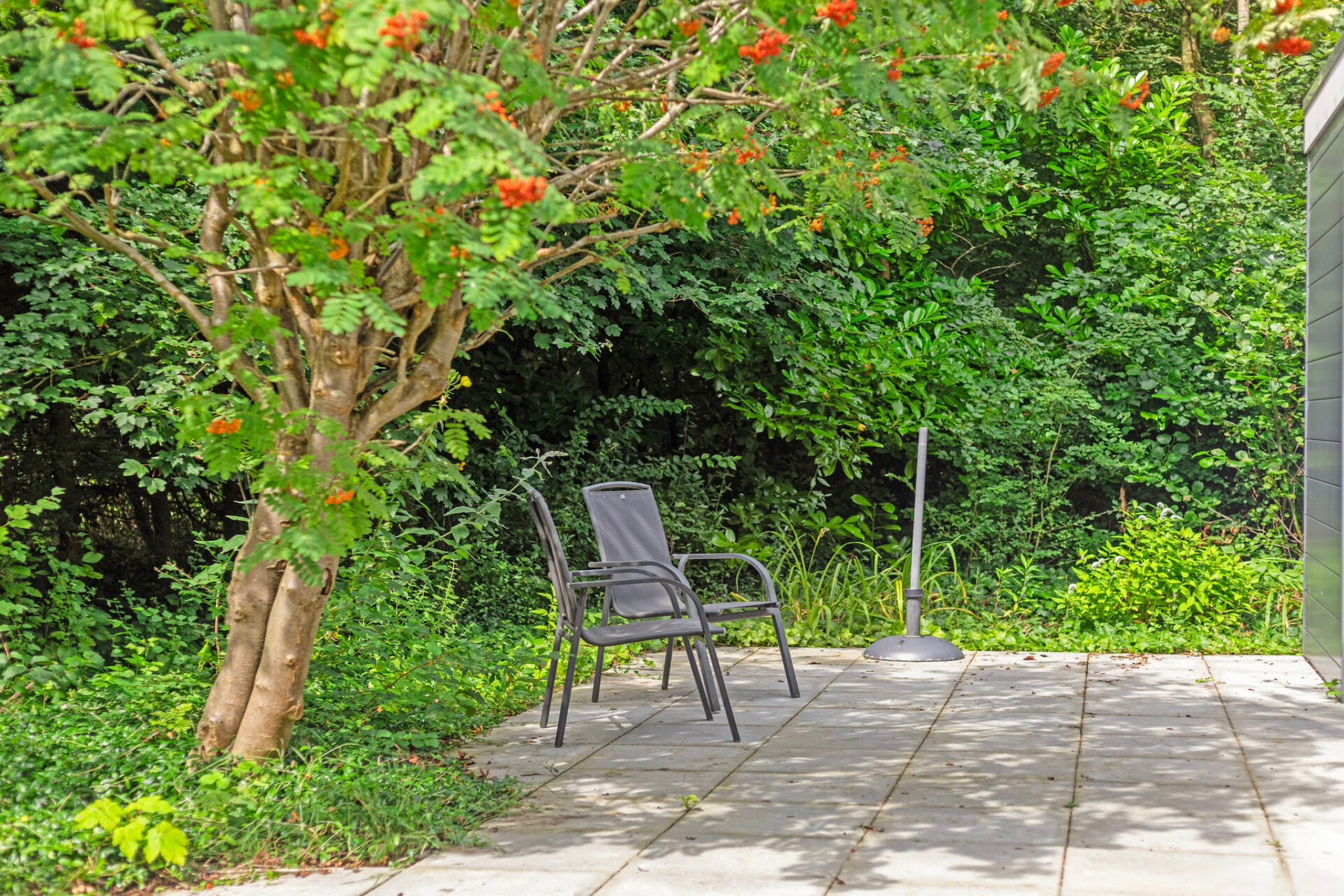 Garden Summer