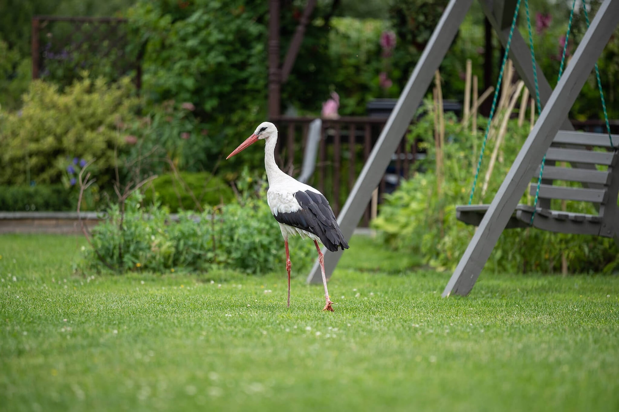 Osada Trzy Siostry domek nr 4 dla 4 osób Dąbrowa - Gardens in summer