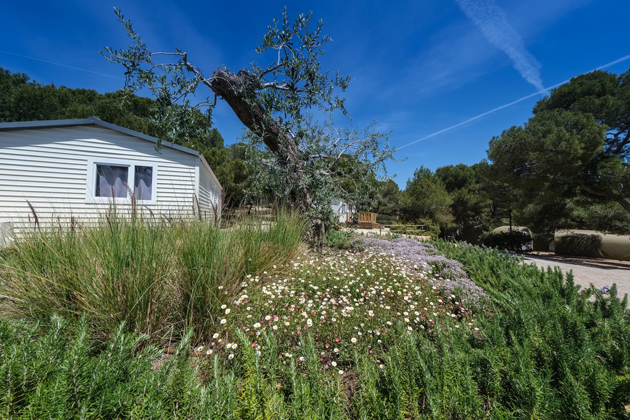 Located in the province of Tarragona, with an unbeatable location on the beachfront and within a protected natural area of interest, which goes from the Marquesa forest to Punta de la Mora, with fine sandy beaches, beautiful coves and spectacular cliffs.

Camping Torre de la Mora puts at your disposal everything you need to make you feel at home and have an unforgettable experience in nature.

This beautiful Mobile Home of 32 m2 and with occupancy of up to 5 people, has two double rooms, one with a king size bed and the other with two single beds; a living room with a sofa bed for one person, TV, air conditioning/heating; a bathroom; a porch with an outdoor terrace with a table and chairs area. Fully equipped kitchen (kitchenware, electric coffee maker, microwave, refrigerator and ceramic hob). Bed linen is changed once a week and towels twice a week.
Pets are not allowed in this accommodation. 
Parking may be close to the accommodation.
Check in: 4pm// Check out: 10am