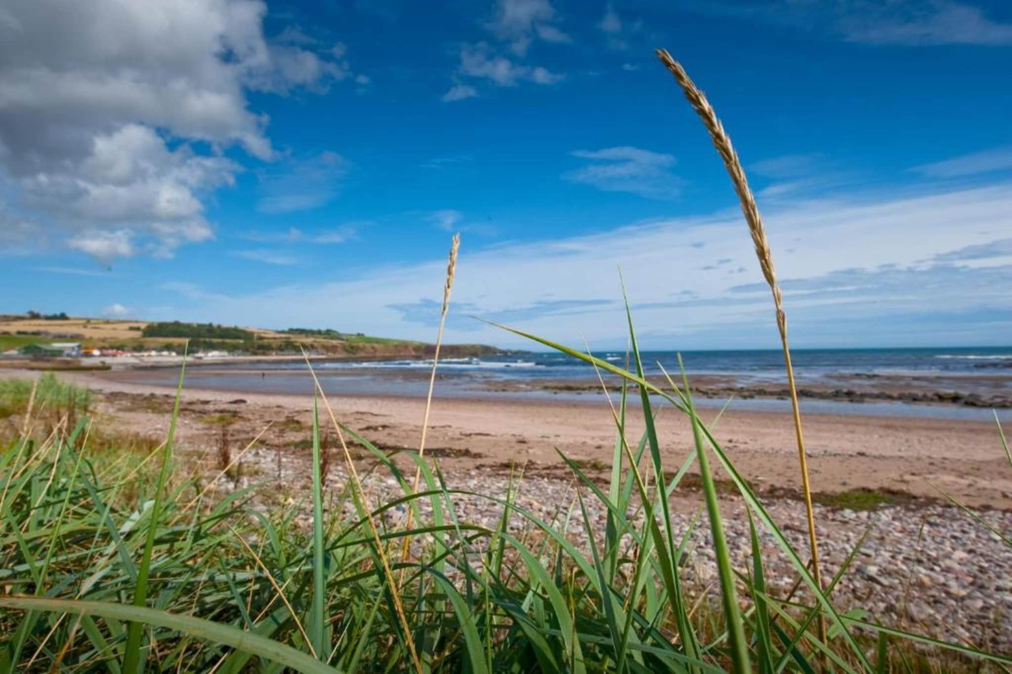 Brentwood Aberdeen  Standard Double-Areas summer 20km