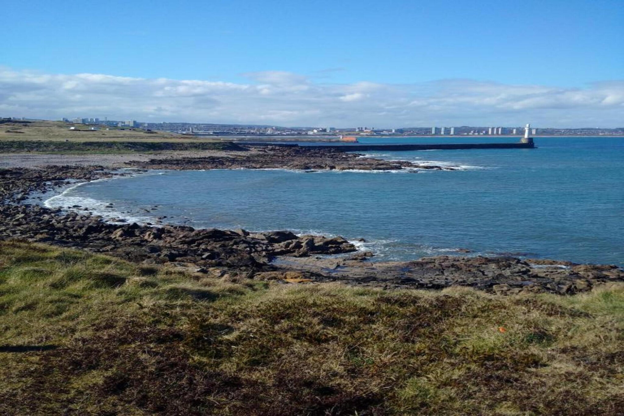 Brentwood Aberdeen  Standard Double-Areas summer 20km