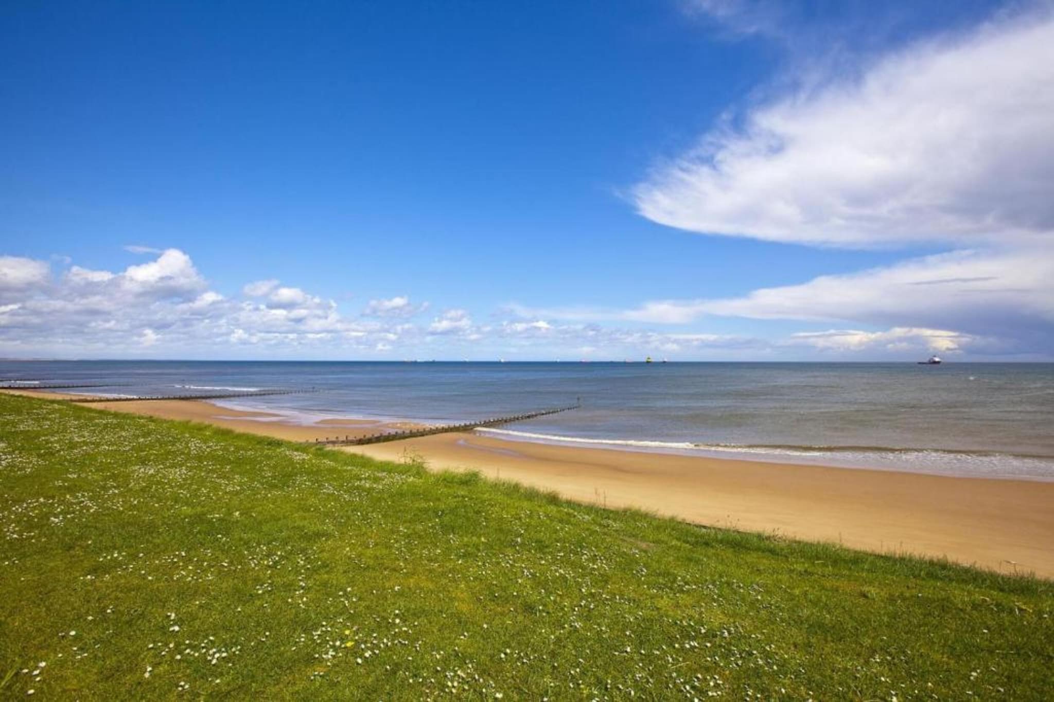 Brentwood Aberdeen  Standard Double-Areas summer 20km