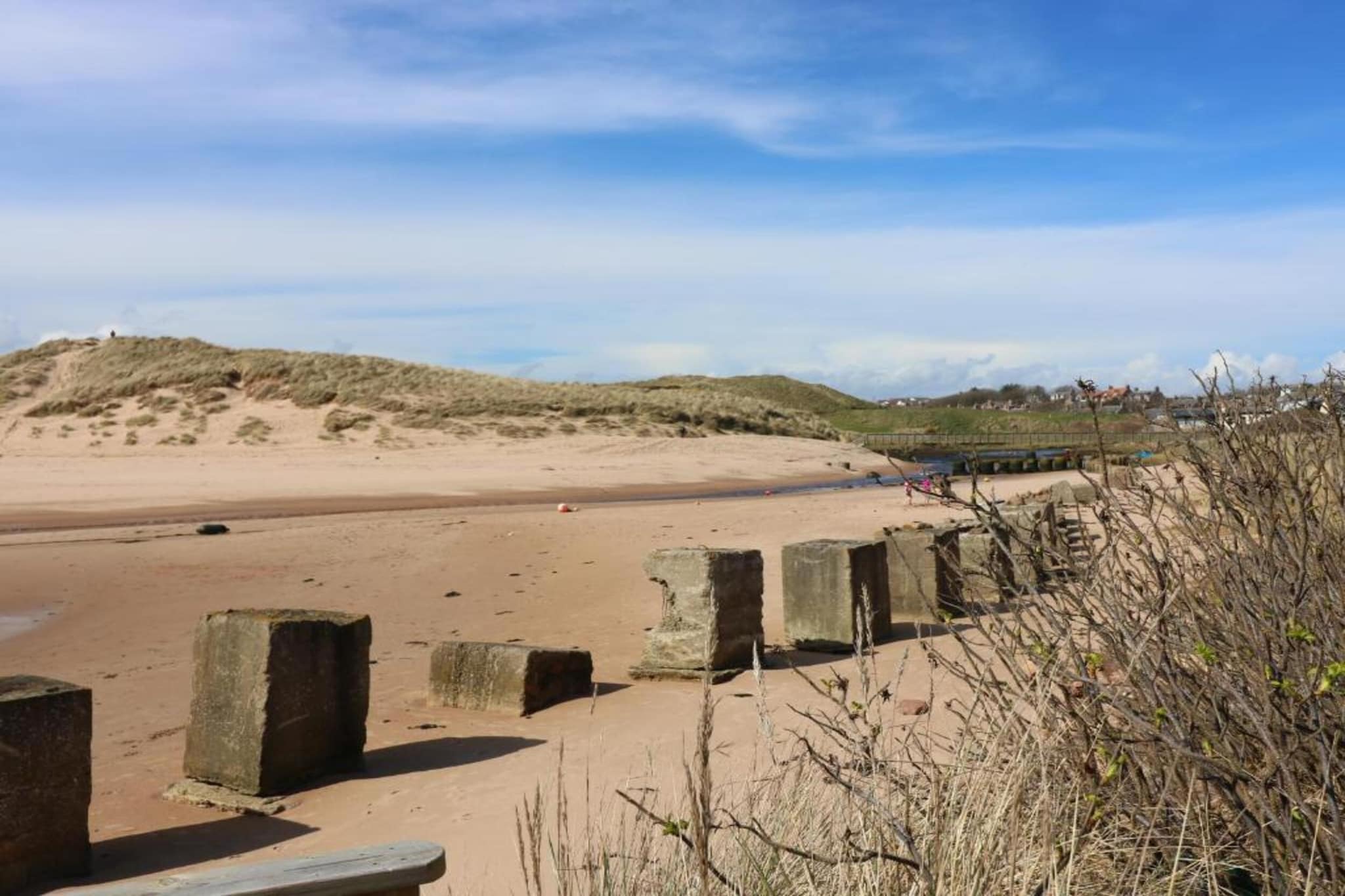 Brentwood Aberdeen  Standard Double-Areas summer 20km