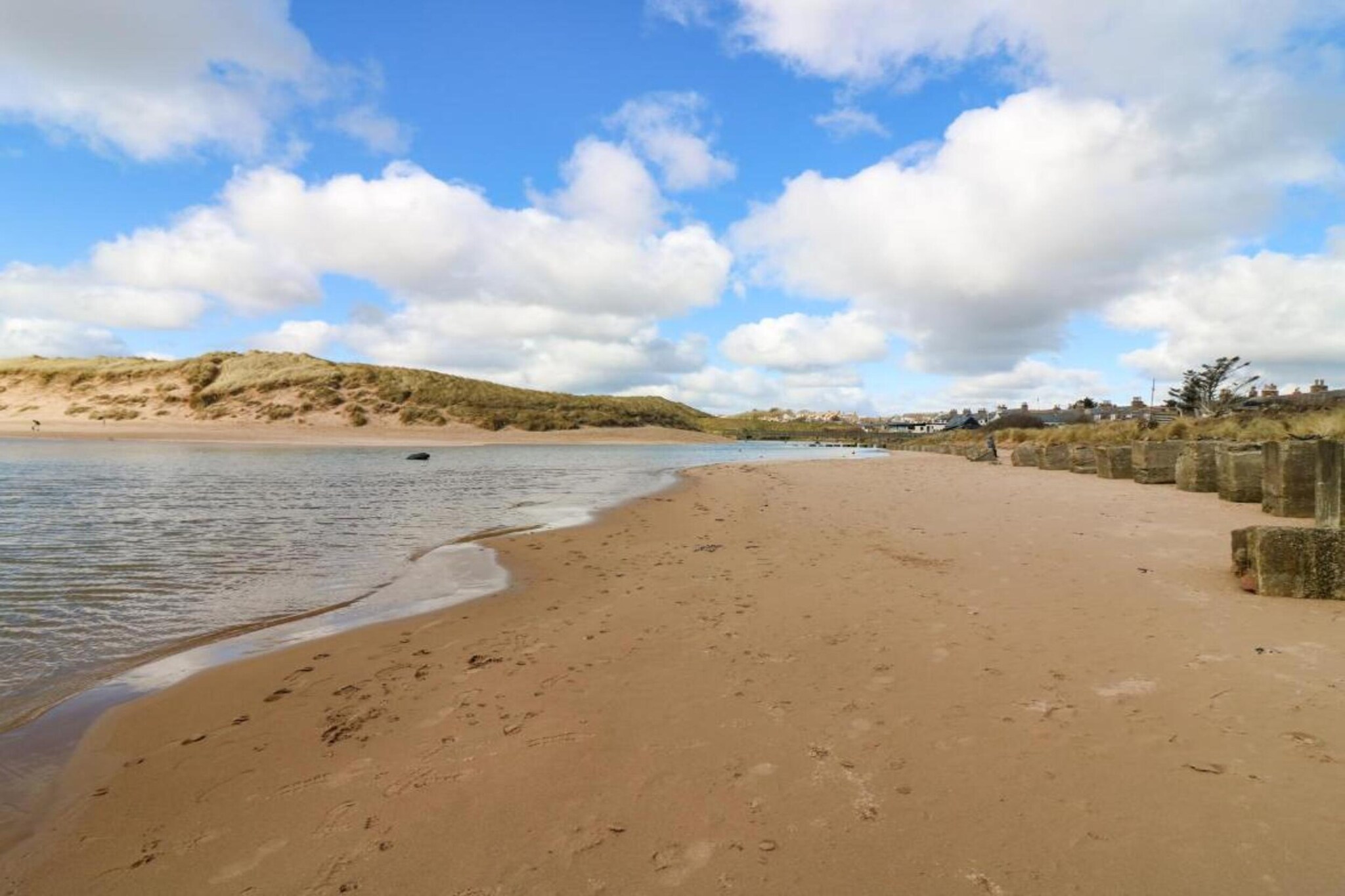Brentwood Aberdeen  Standard Double-Areas summer 20km